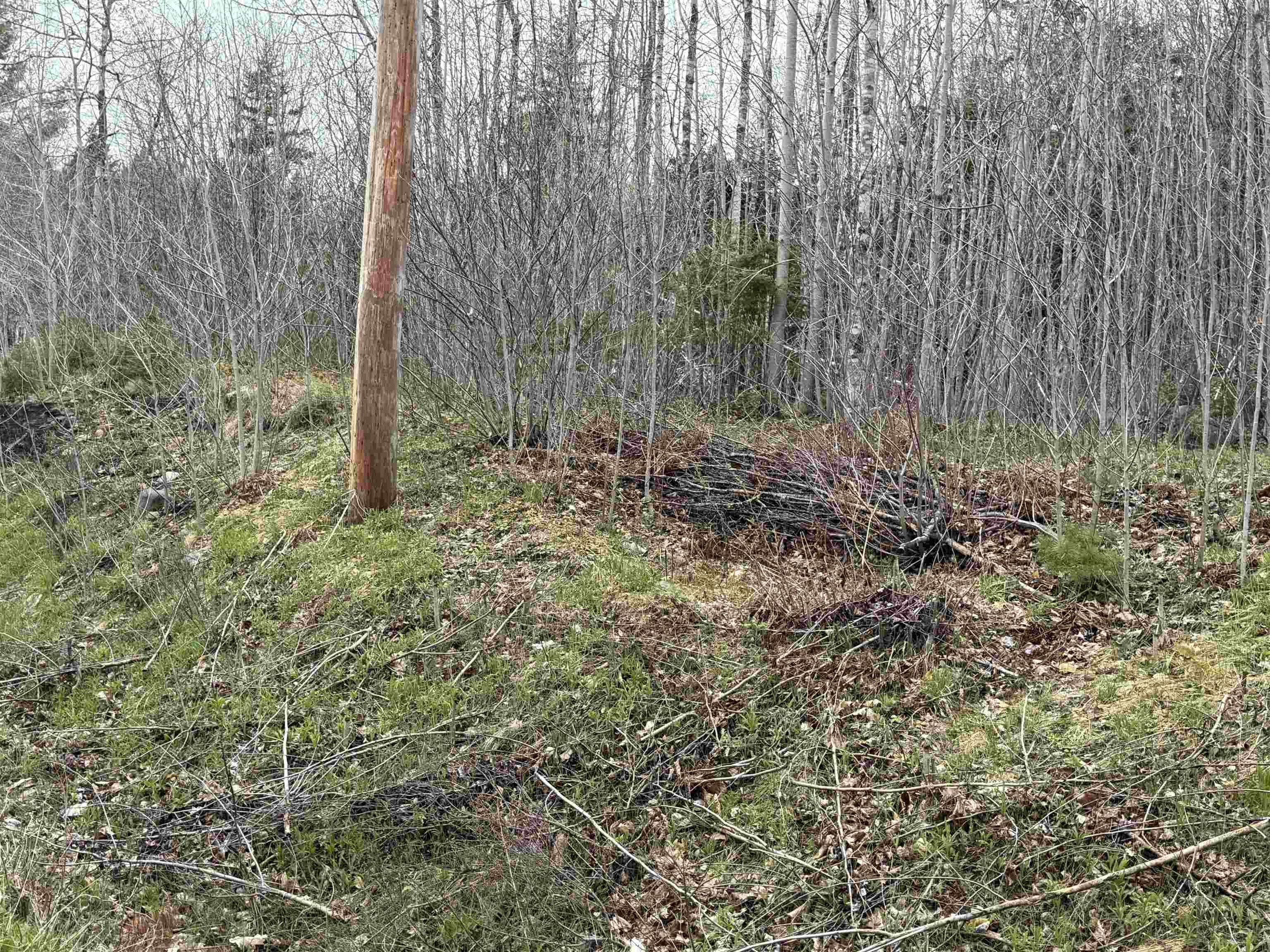 $24,900.00: Lot 5 Highway 10, New Germany