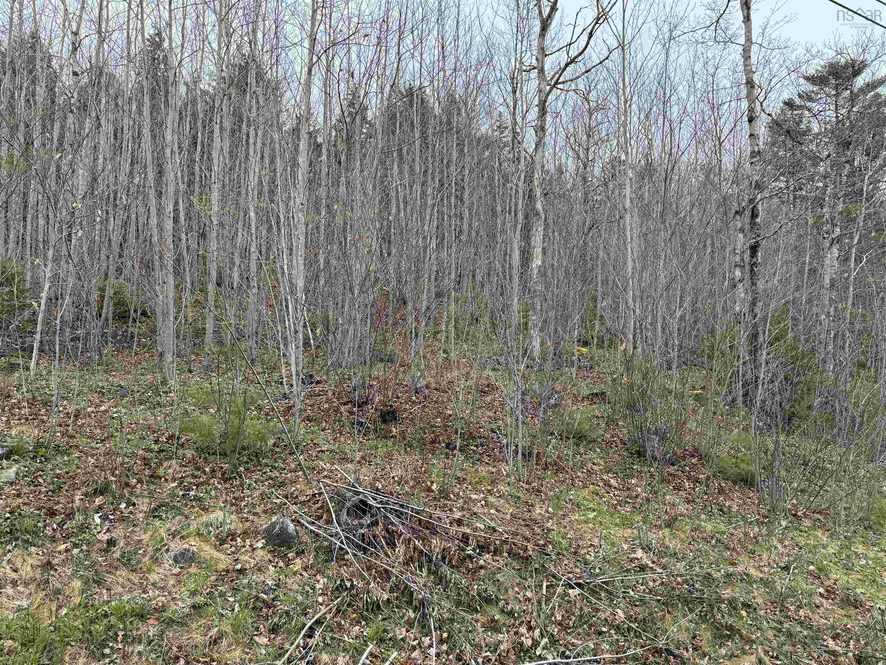 $24,900.00: Lot 5 Highway 10, New Germany