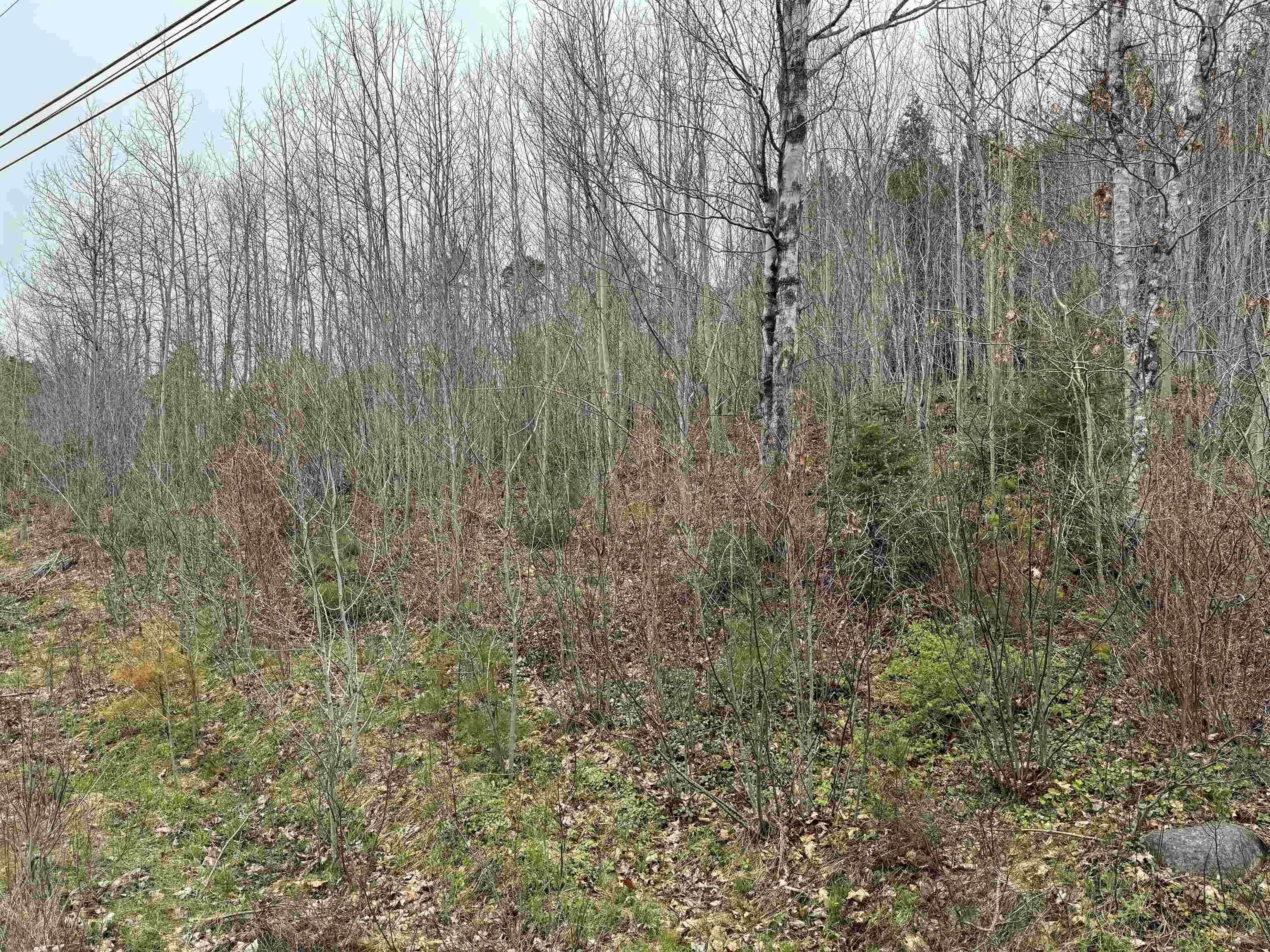 $24,900.00: Lot 5 Highway 10, New Germany