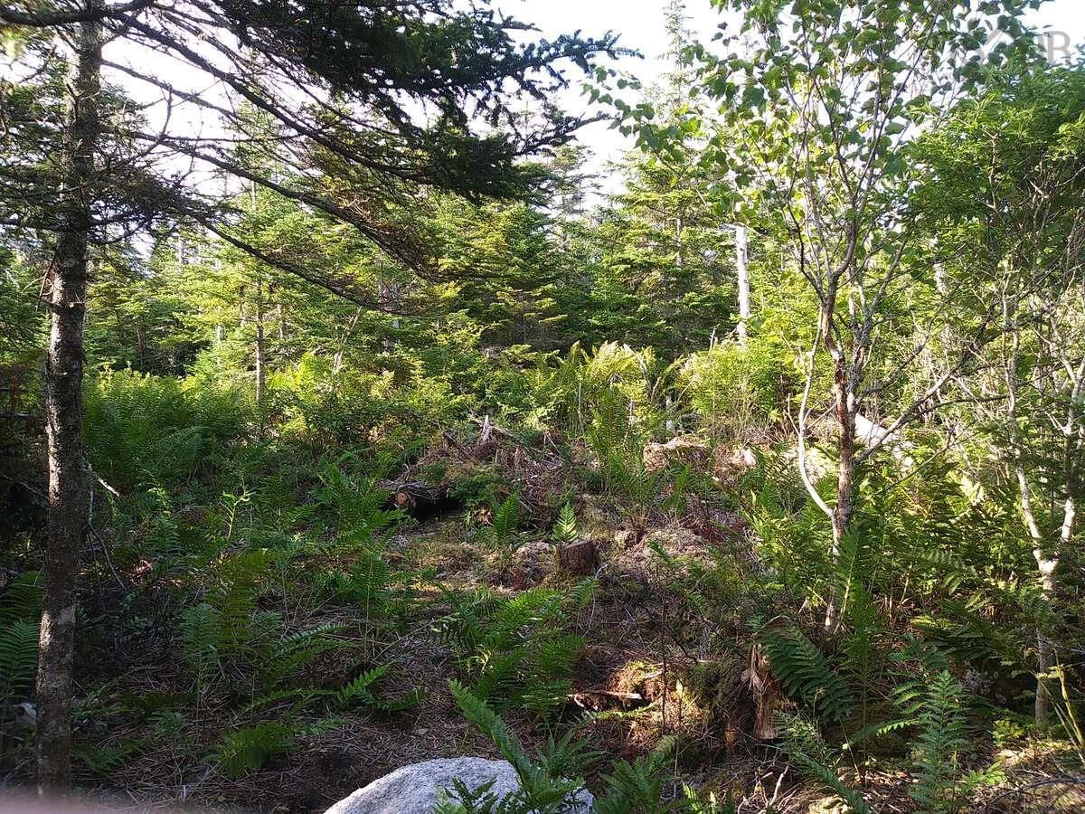 $119,900.00: Lot 7 129 Kaakwogook Way, Clam Bay