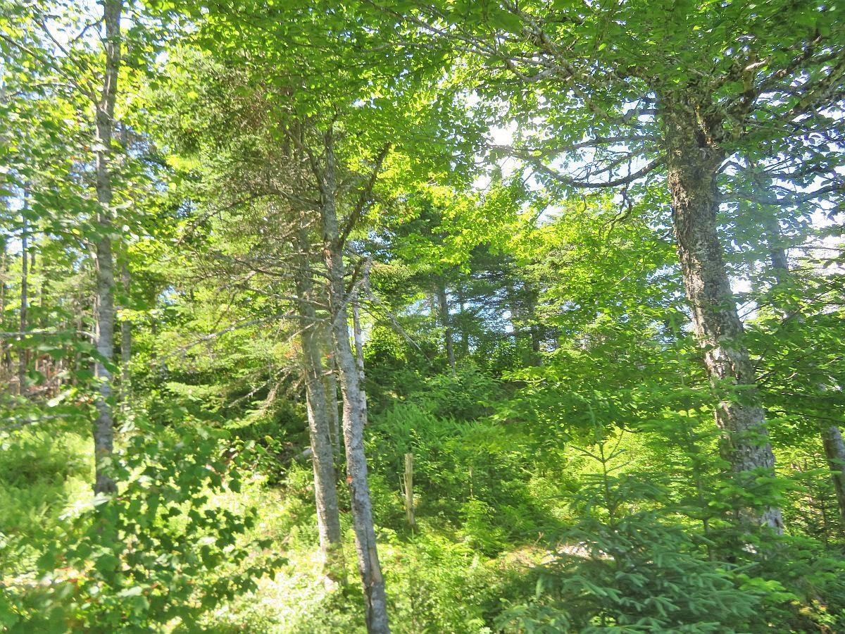 $89,000.00: Lot 7 Oceanview Road, French Road