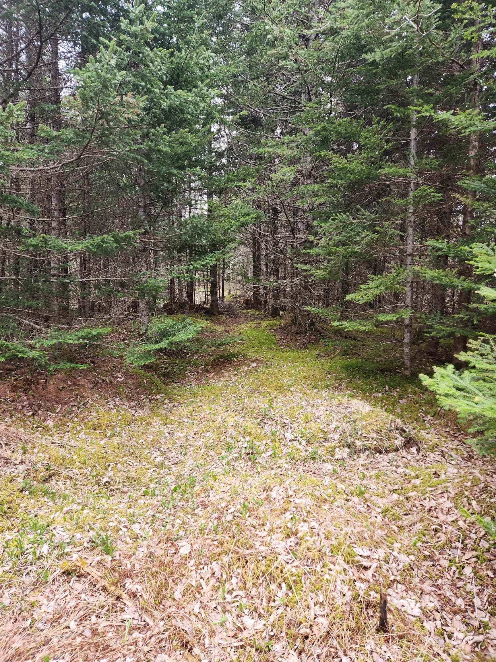 $57,500.00: 12892 Highway 224, Chaswood