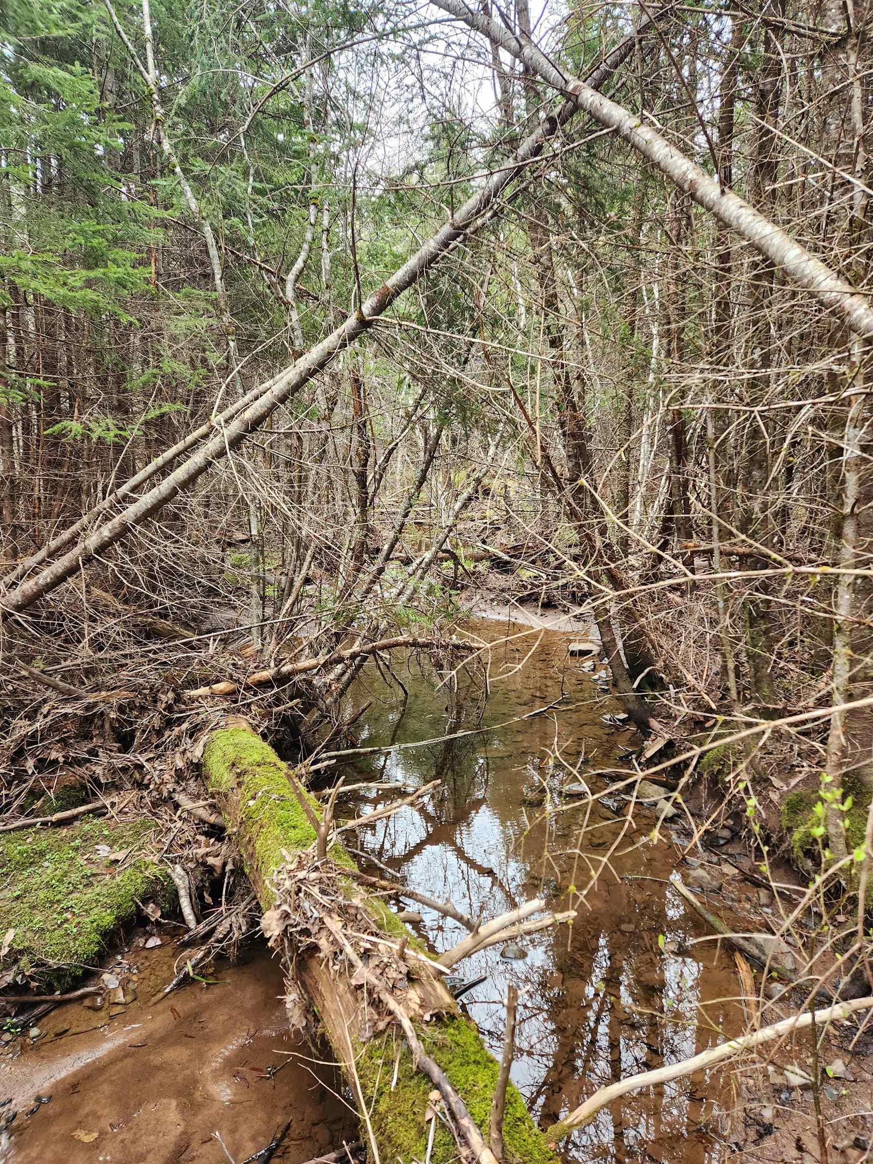 $57,500.00: 12892 Highway 224, Chaswood