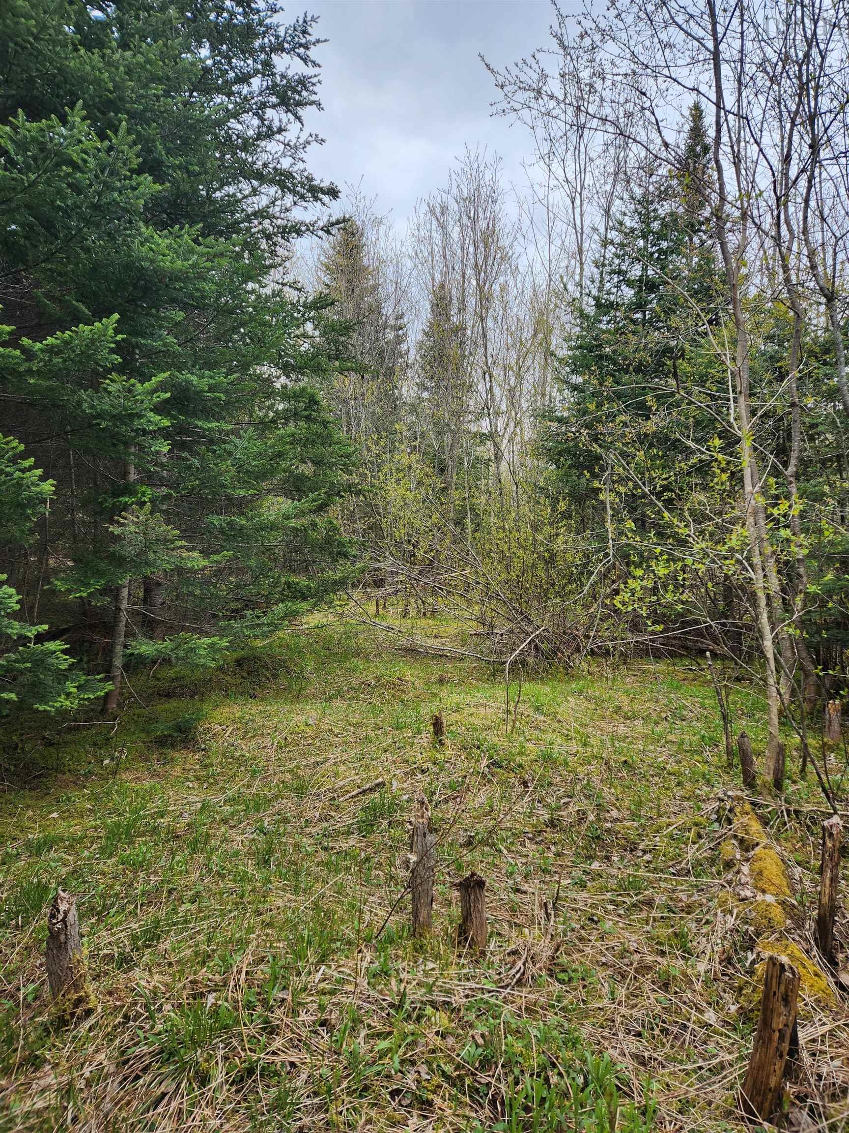$57,500.00: 12892 Highway 224, Chaswood