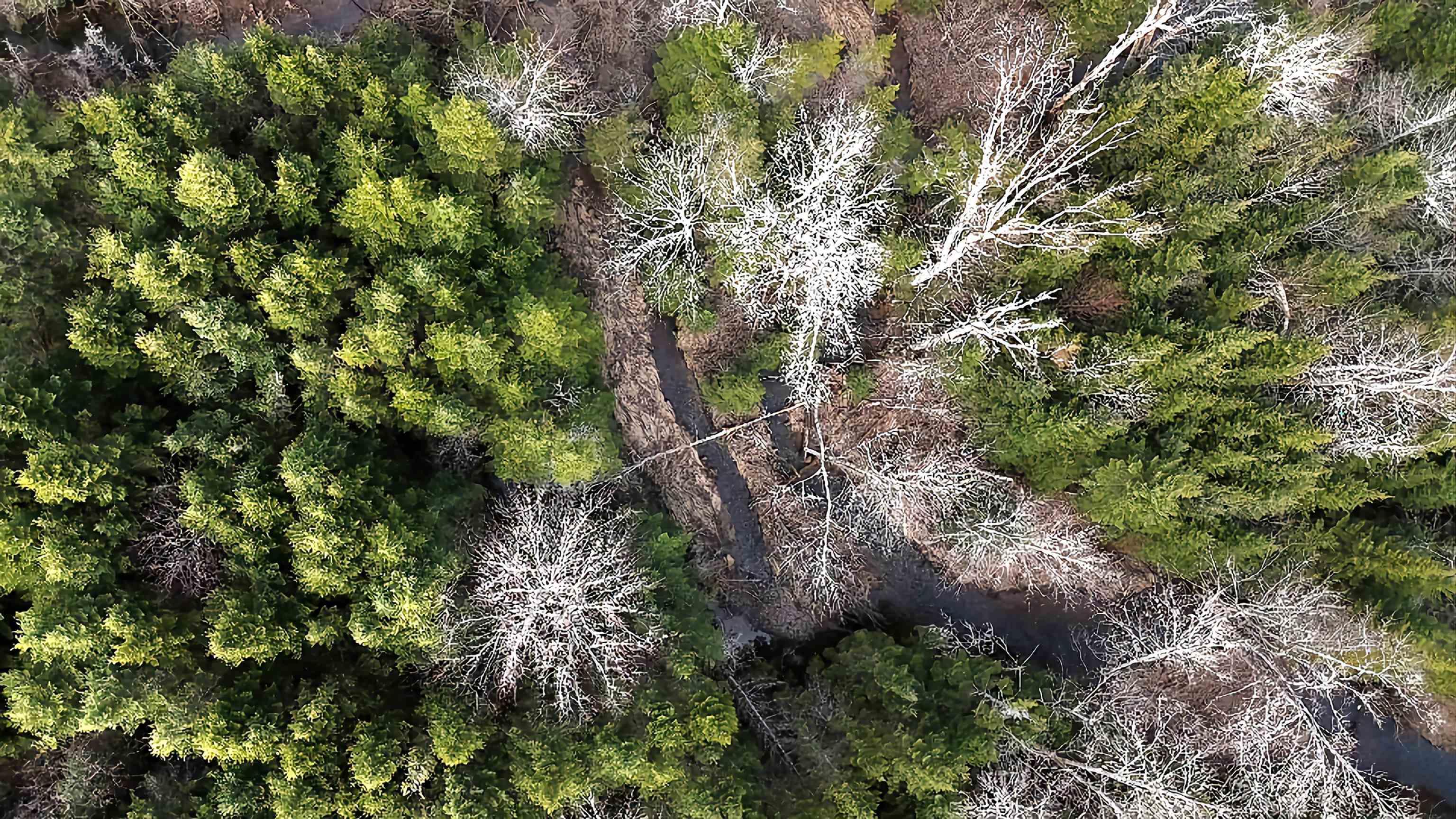 $57,500.00: 12892 Highway 224, Chaswood