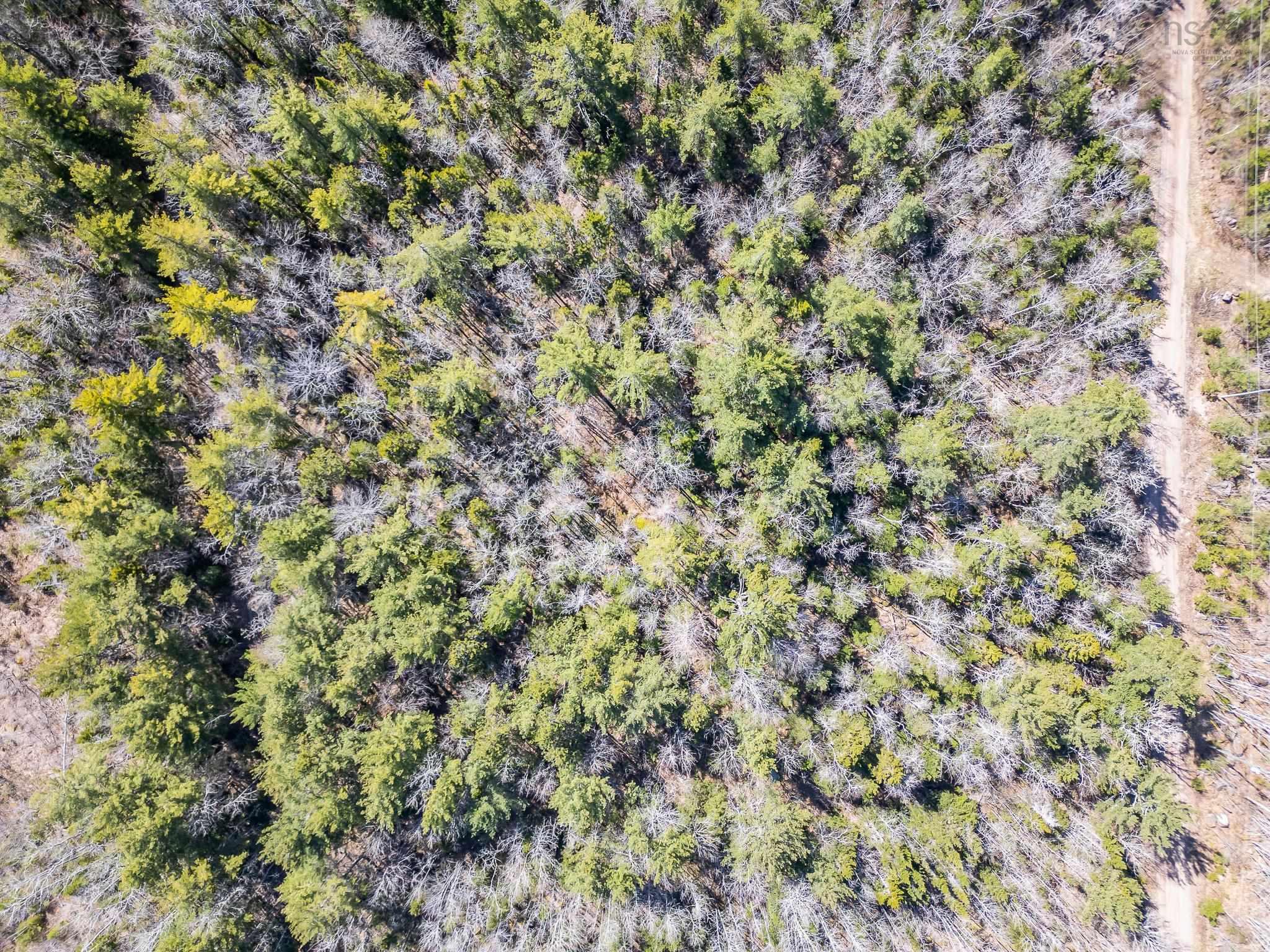 $24,999.00: Lot 77 Waterloo Avenue, Waterloo Lake