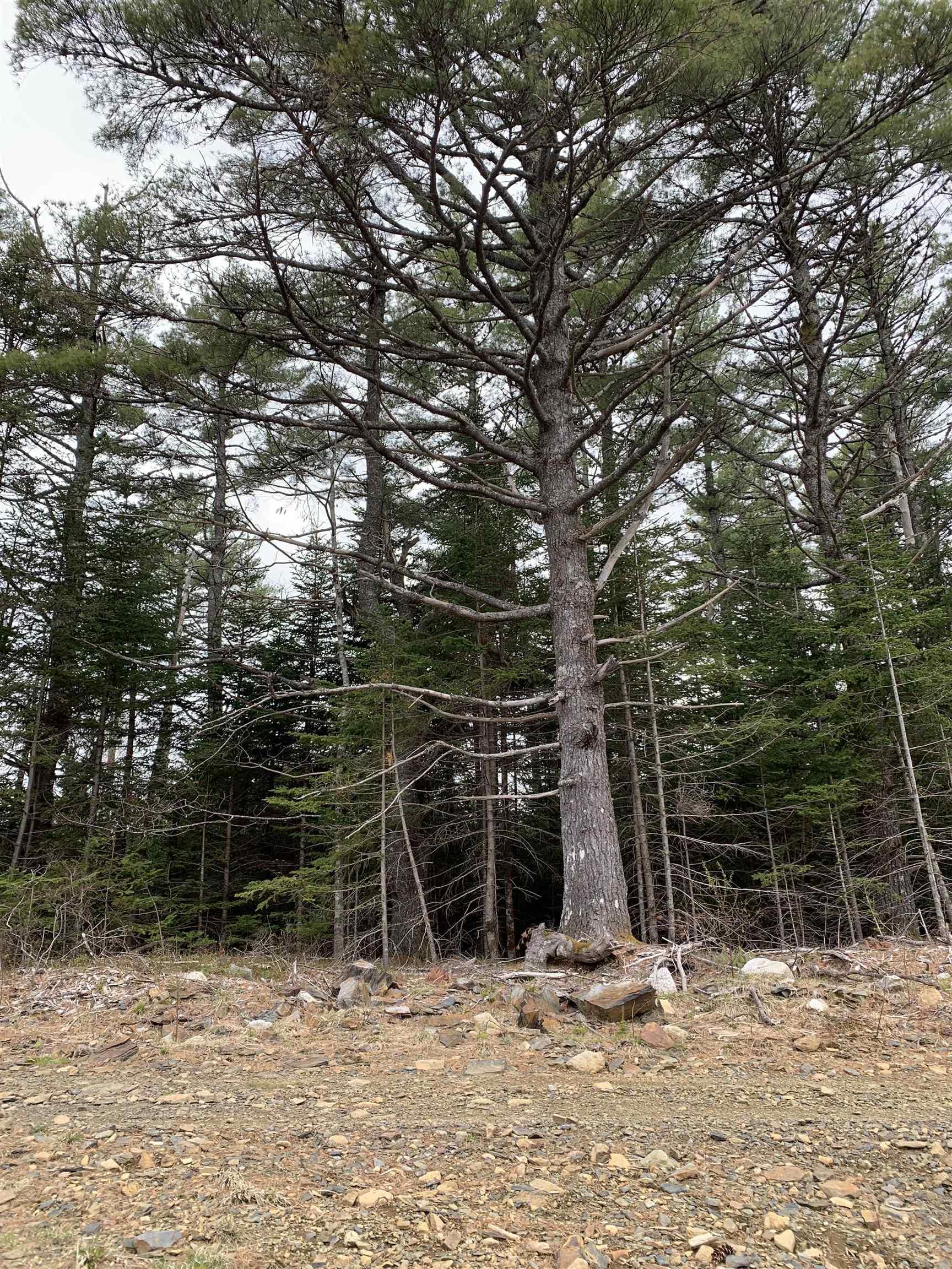 $100,000.00: No 103 Highway, Western Shore