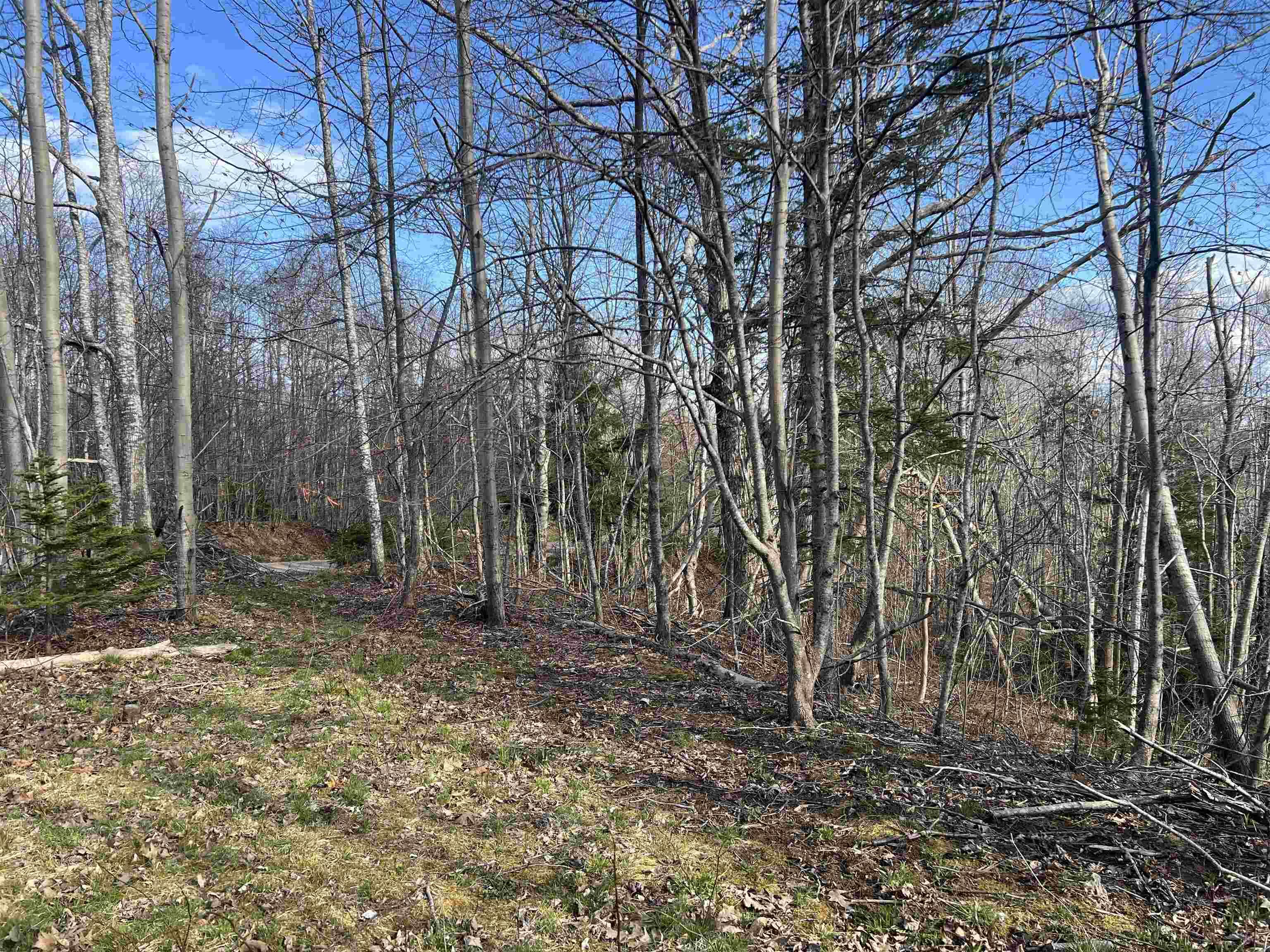 $119,986.00: Lot 2-1-B Seaview Cemetary Road, Bay View