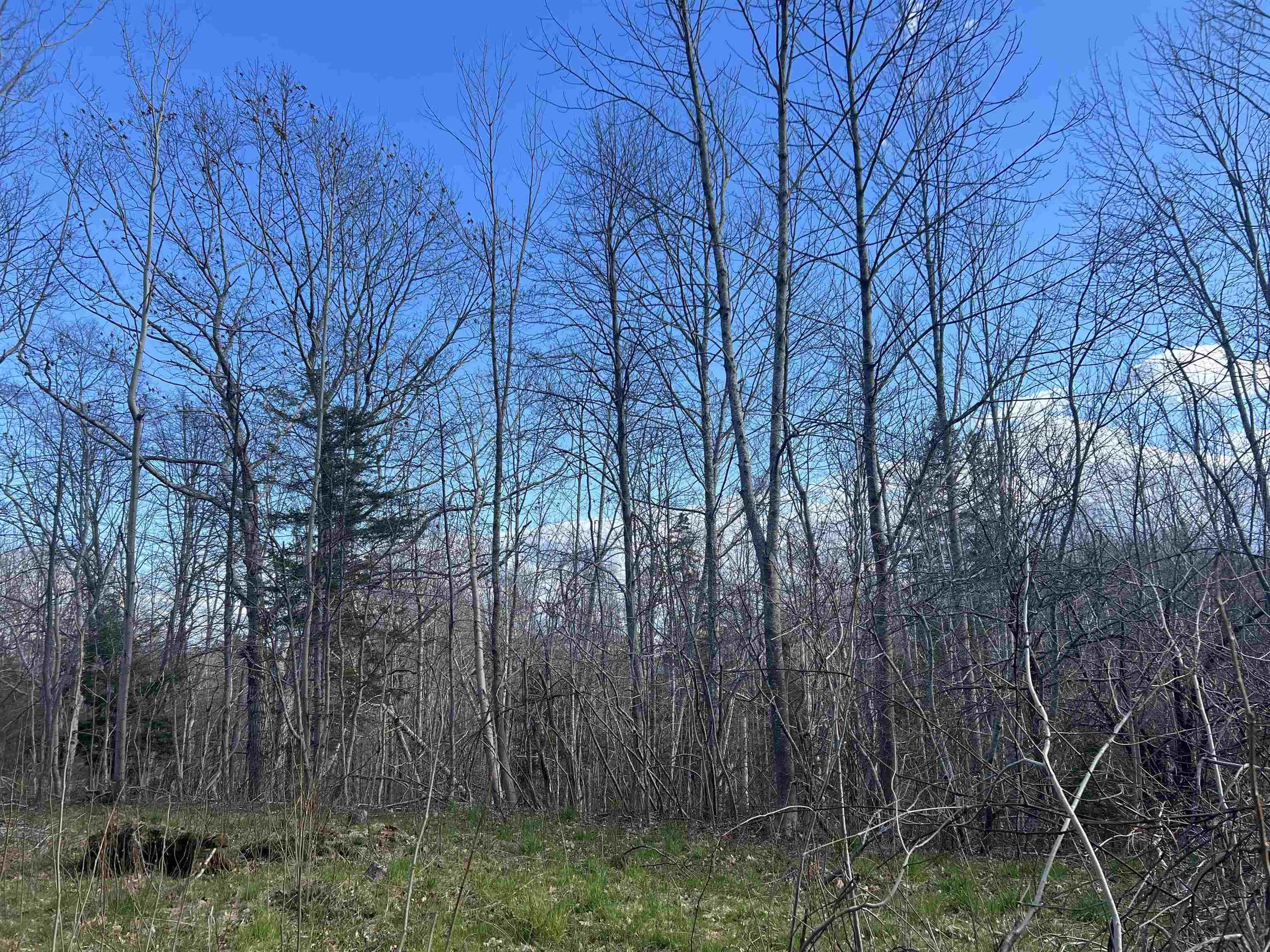 $119,986.00: Lot 2-1-B Seaview Cemetary Road, Bay View