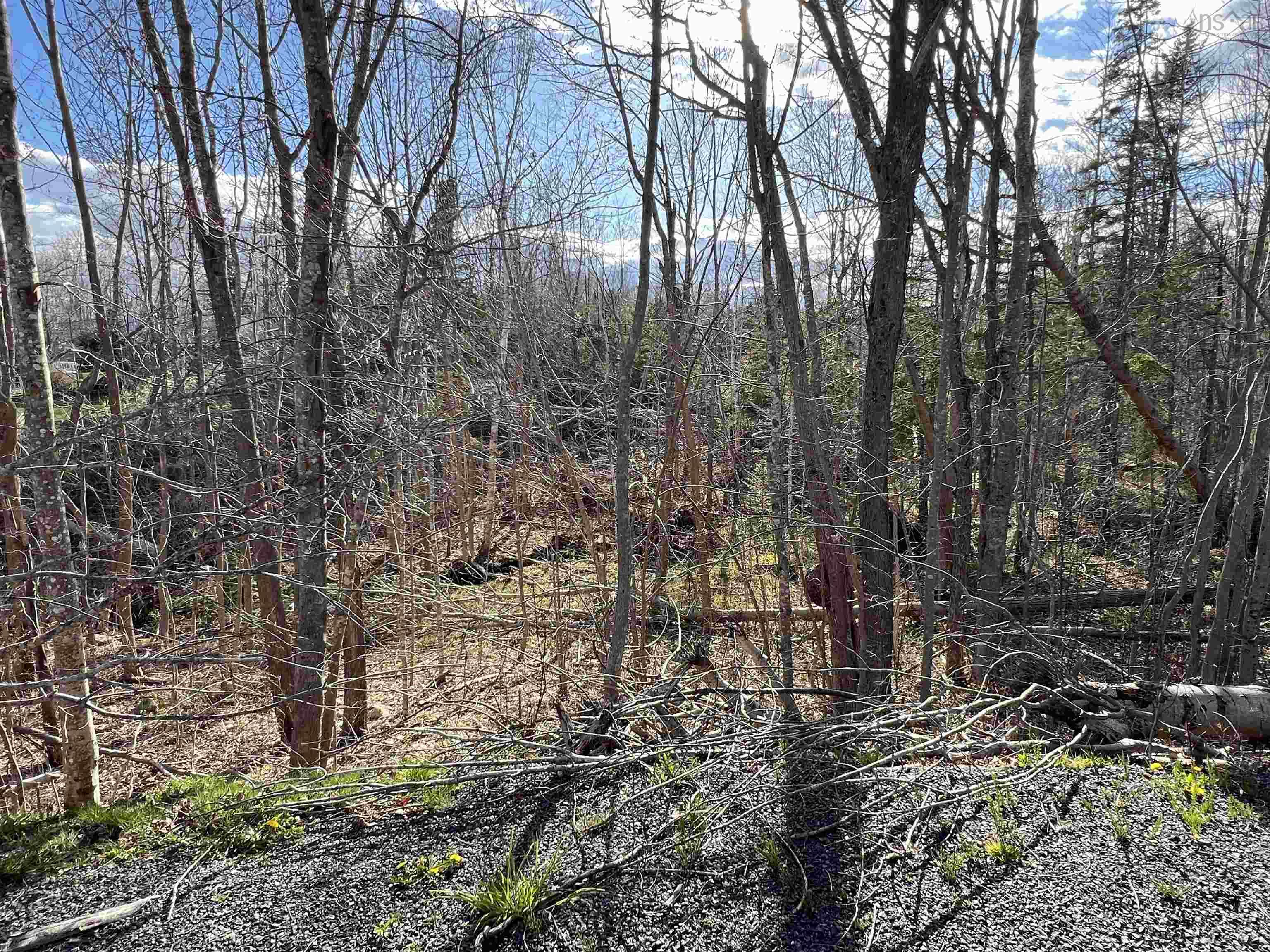 $119,986.00: Lot 2-1-B Seaview Cemetary Road, Bay View