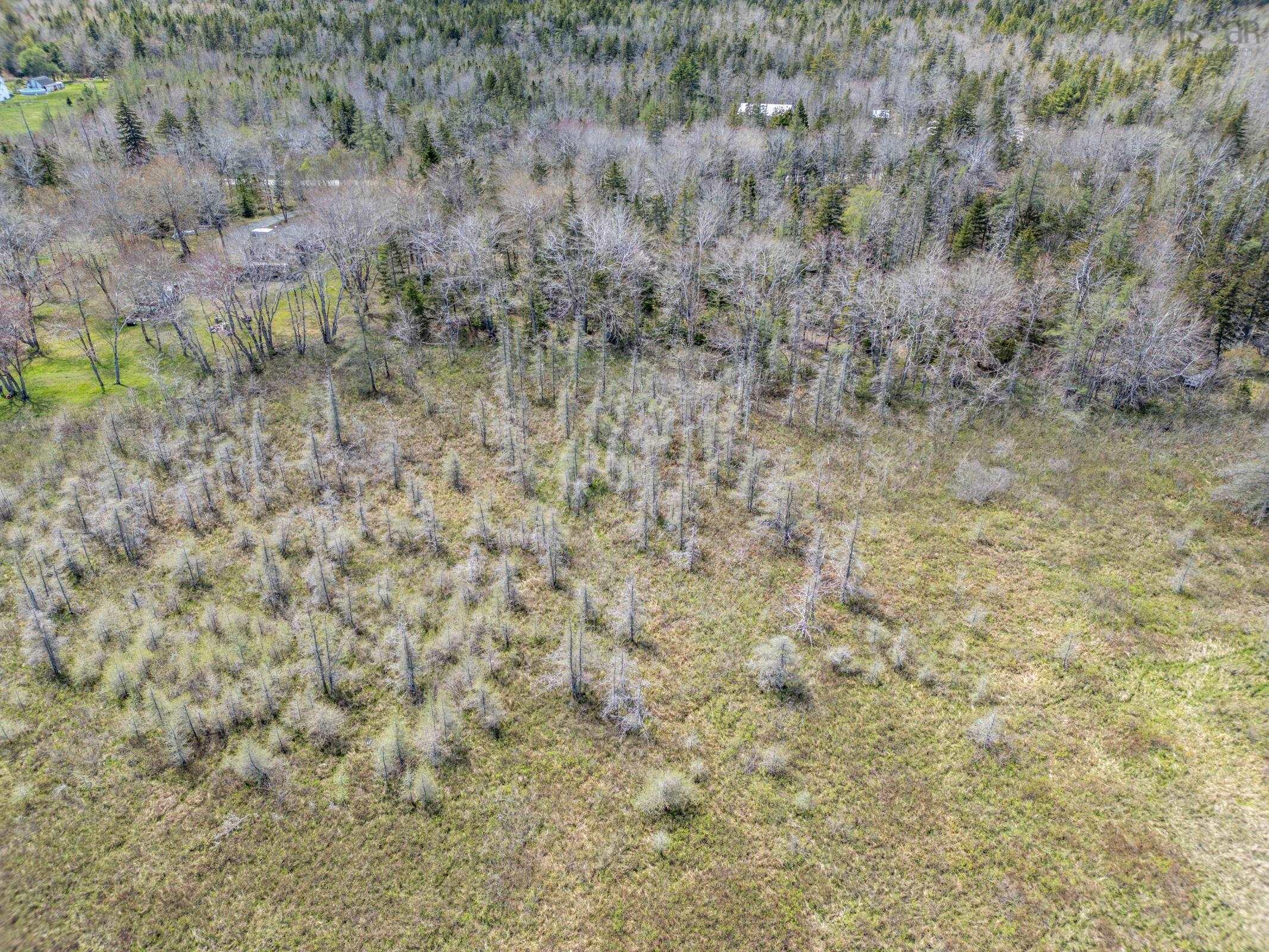 $34,000.00: Lot Bloomfield Road, Pleasant Valley