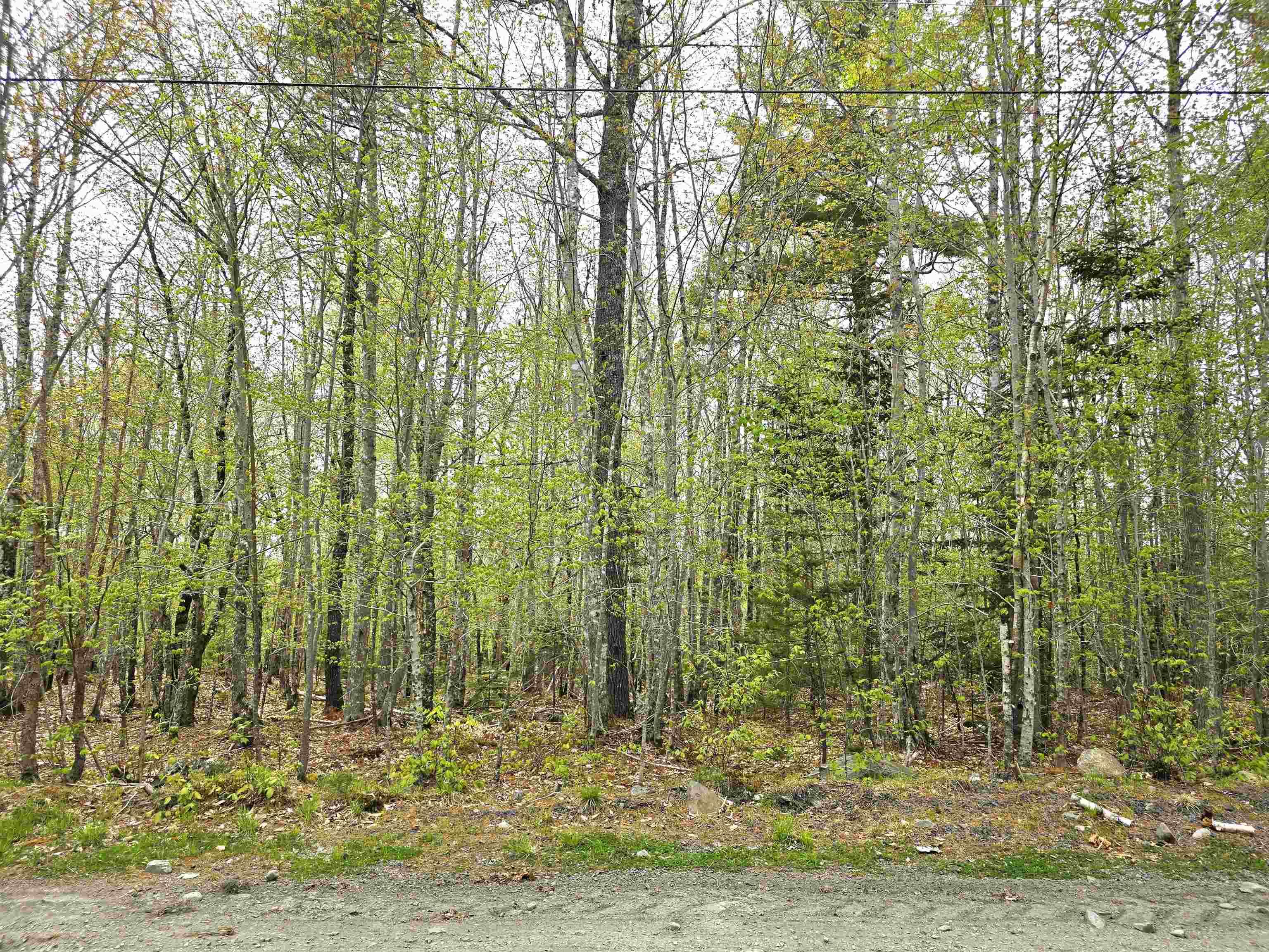$290,000.00: 71 Ponhook View Drive, Labelle