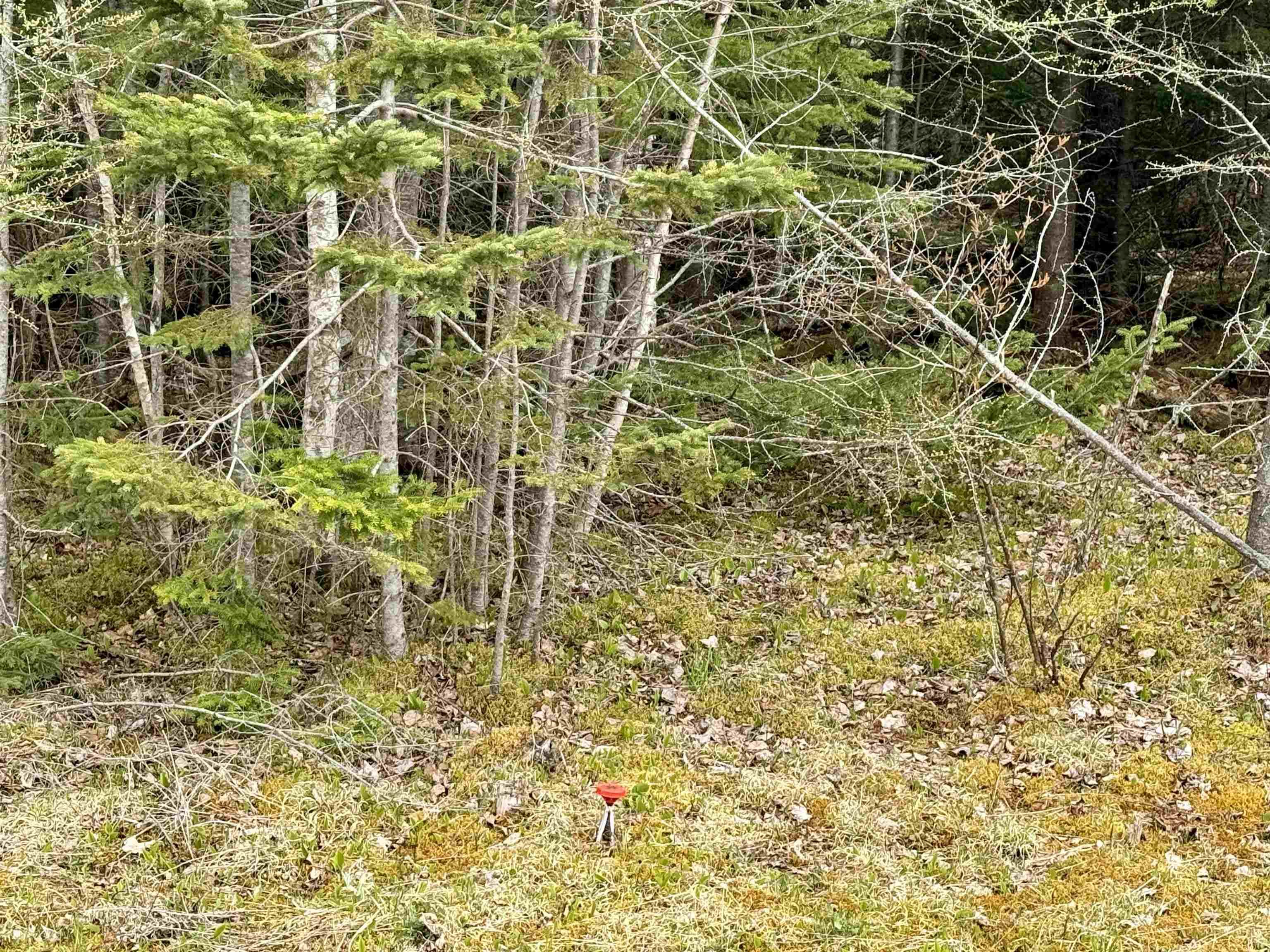$40,000.00: Lot(s) Joseph Macfarlane Drive, Whycocomagh Bay
