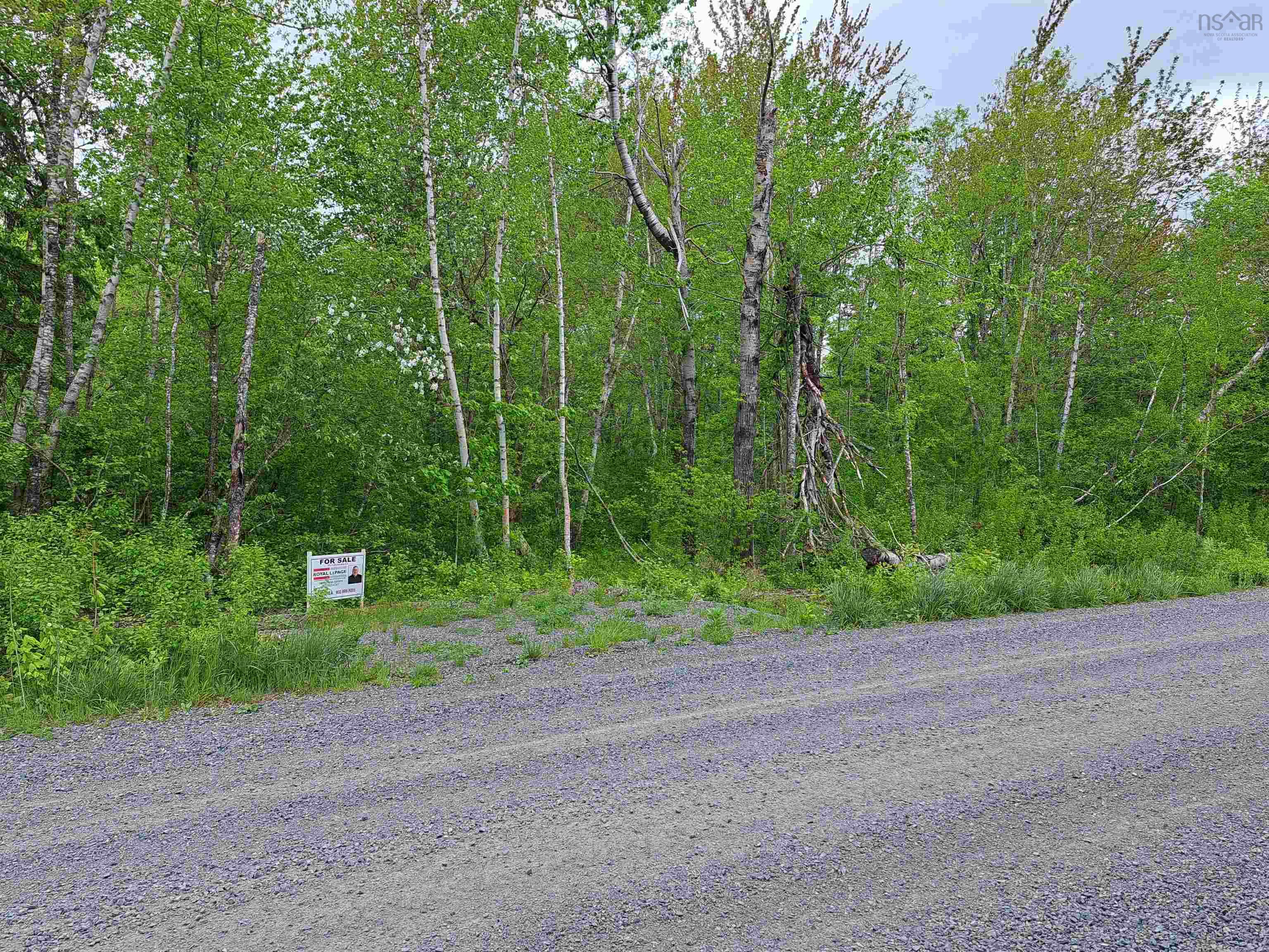 $25,000.00: 4 Mattatal Branch Road, West Tatamagouche