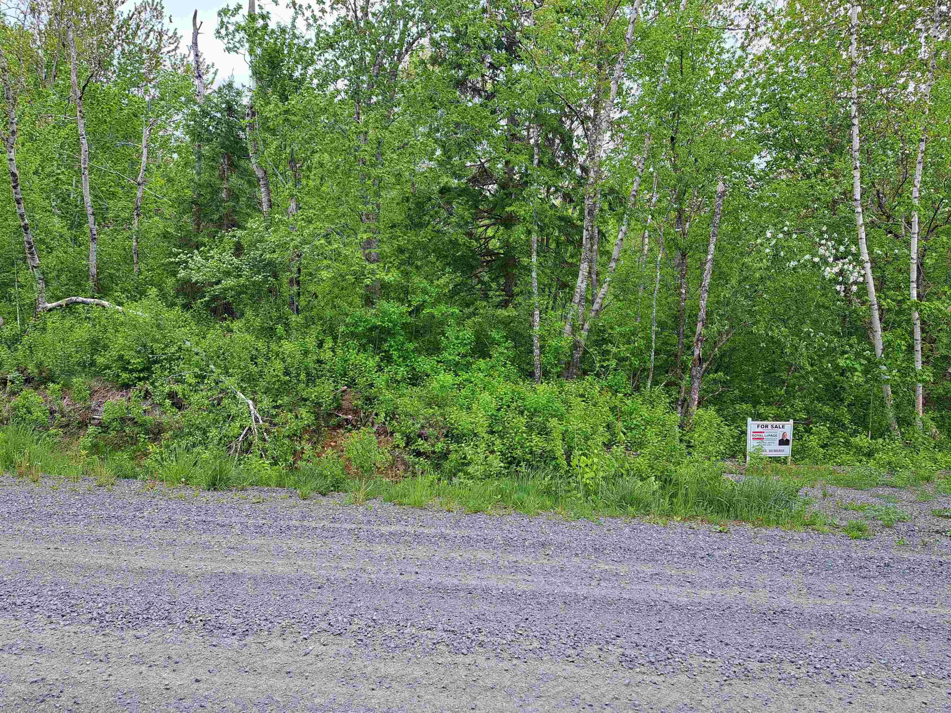 $25,000.00: 4 Mattatal Branch Road, West Tatamagouche