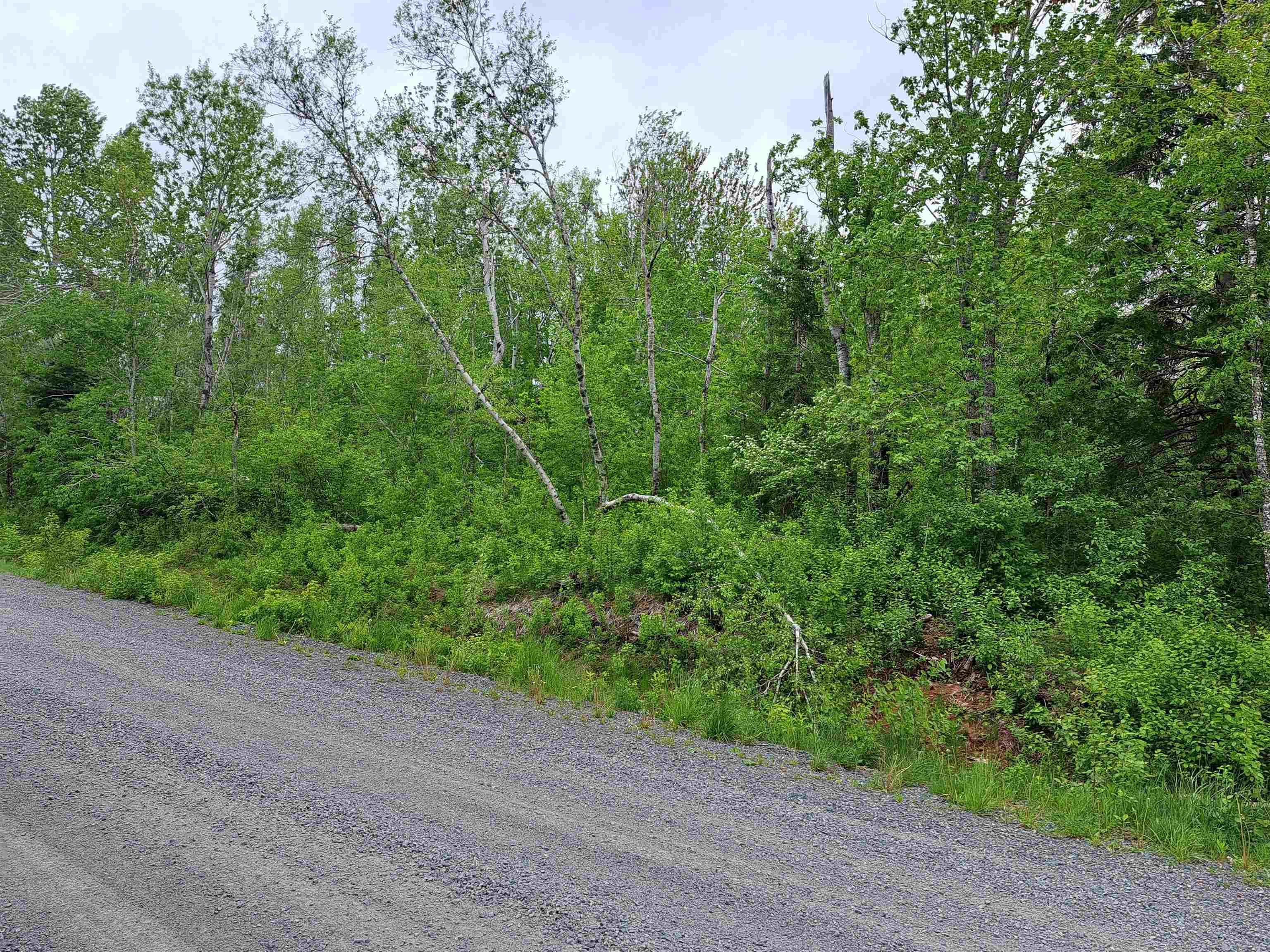 $25,000.00: 4 Mattatal Branch Road, West Tatamagouche