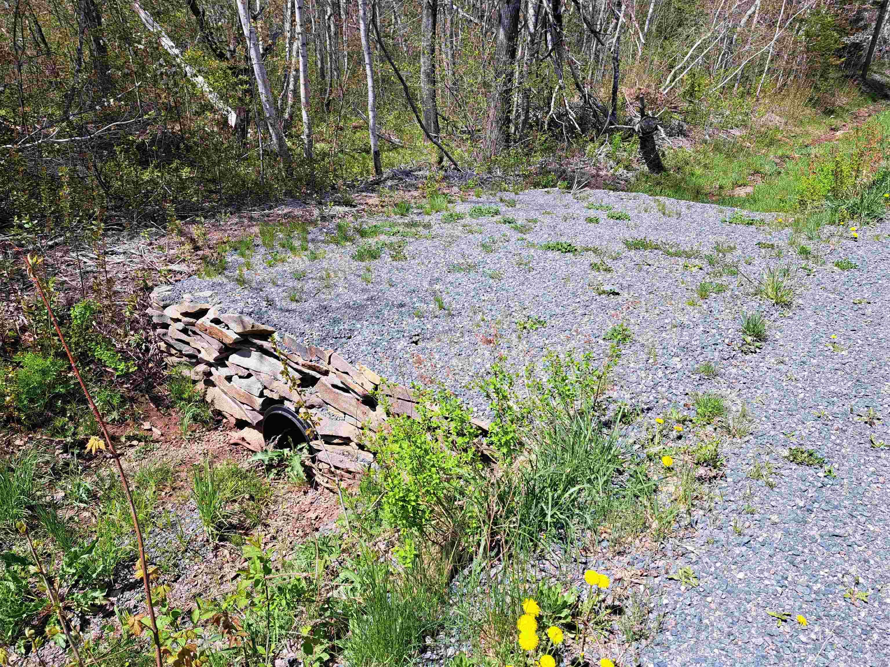 $25,000.00: 4 Mattatal Branch Road, West Tatamagouche