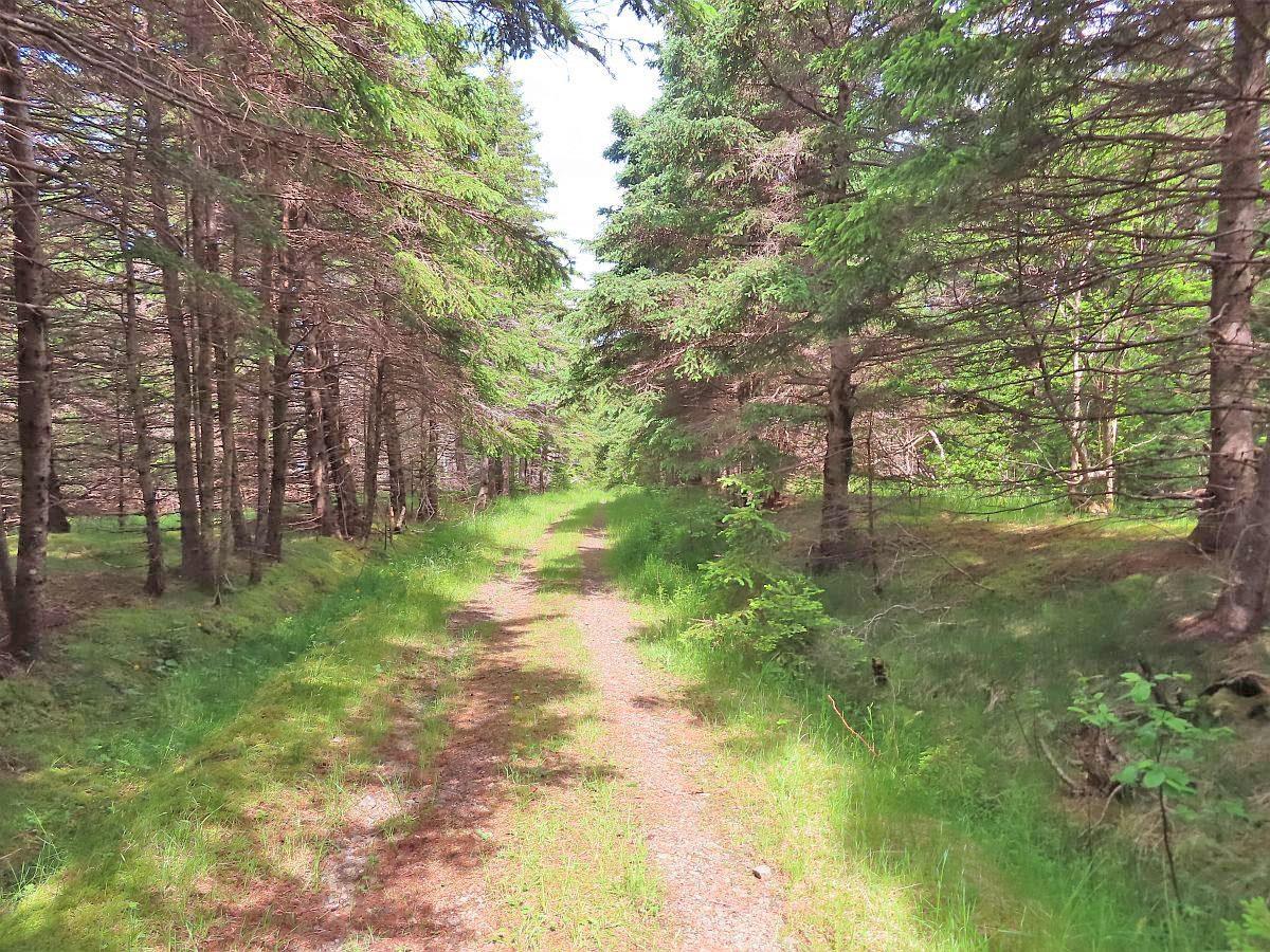 $79,000.00: Lot 126 Manfred Prekau Drive, Hay Cove