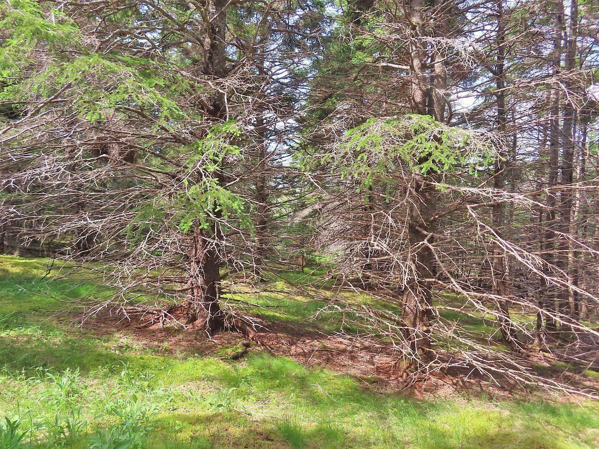 $79,000.00: Lot 126 Manfred Prekau Drive, Hay Cove