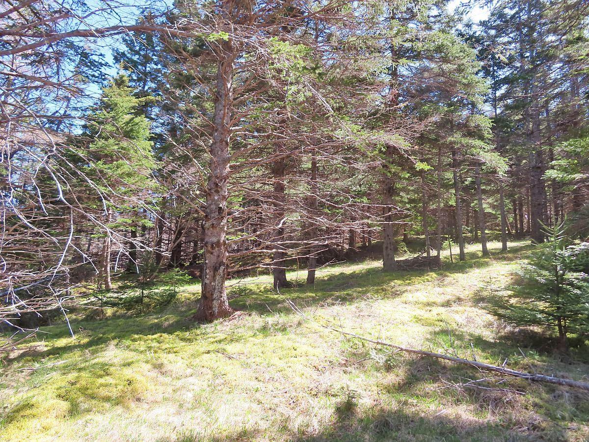 $79,000.00: Lot 126 Manfred Prekau Drive, Hay Cove