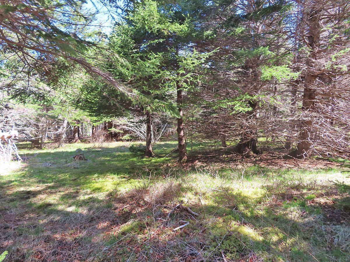 $79,000.00: Lot 126 Manfred Prekau Drive, Hay Cove