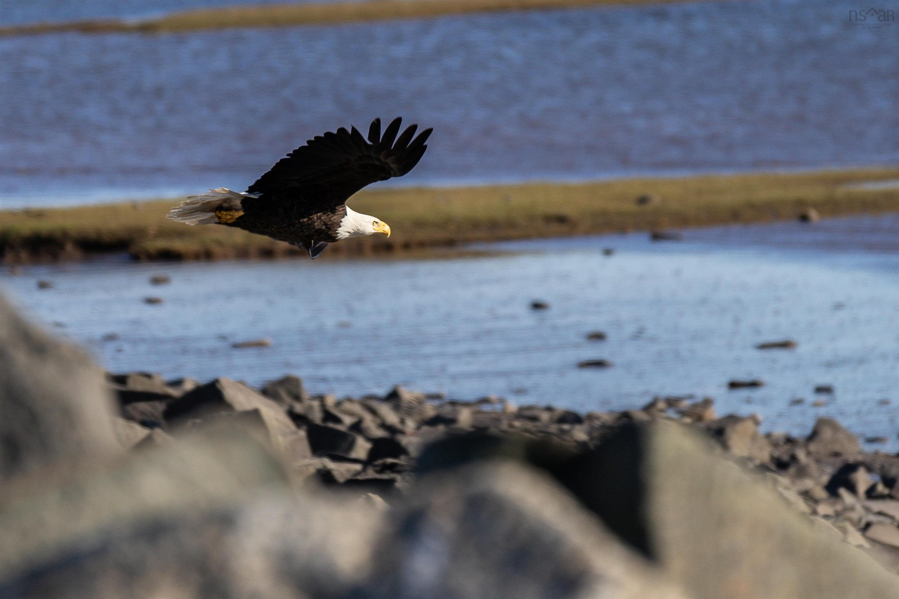 $125,000.00: Lower Cross Road, Rossway