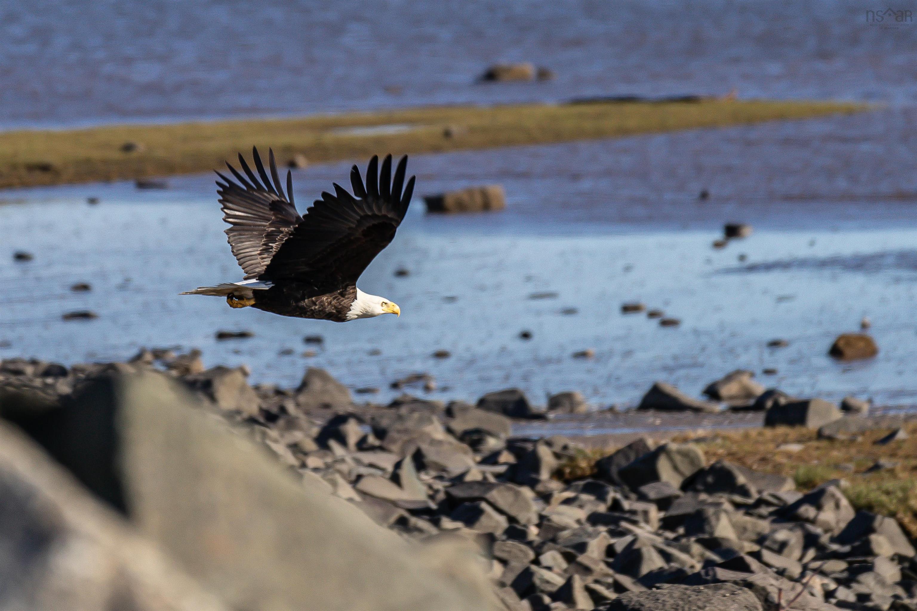 $125,000.00: Lower Cross Road, Rossway