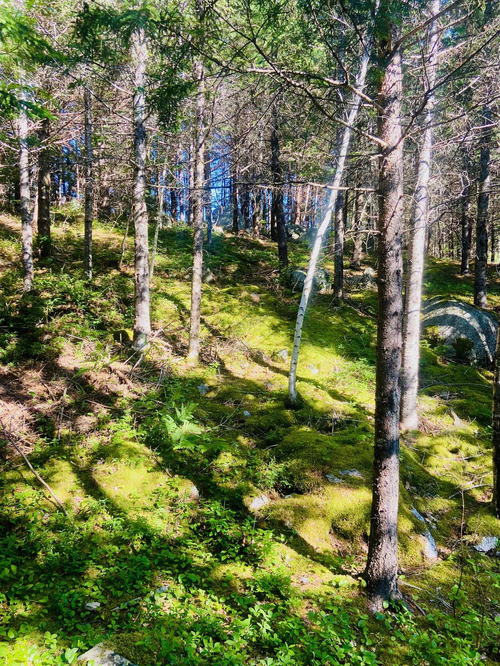 $130,000.00: Lot 3 Evergreen Lane, Chester Basin