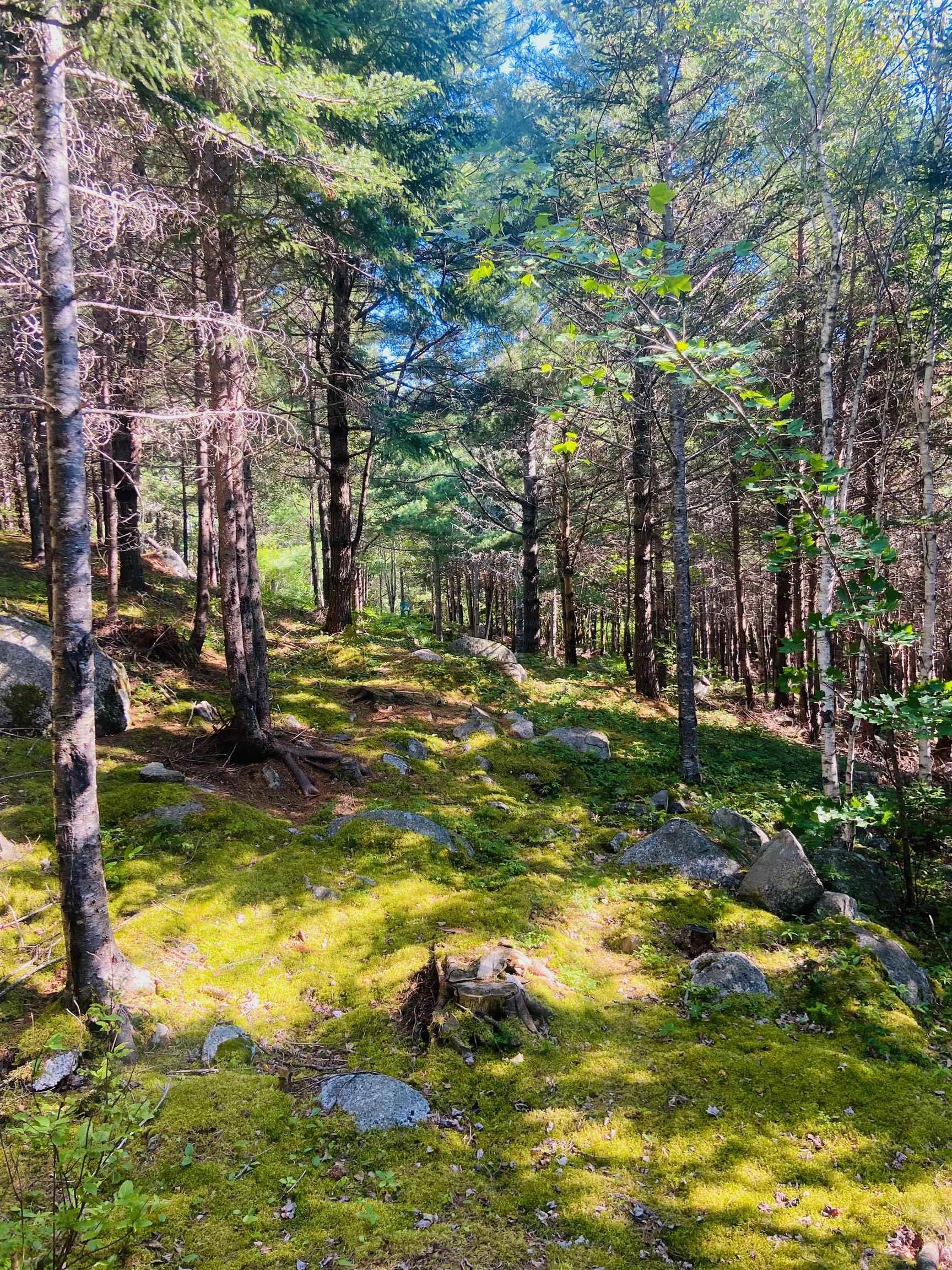 $130,000.00: Lot 3 Evergreen Lane, Chester Basin