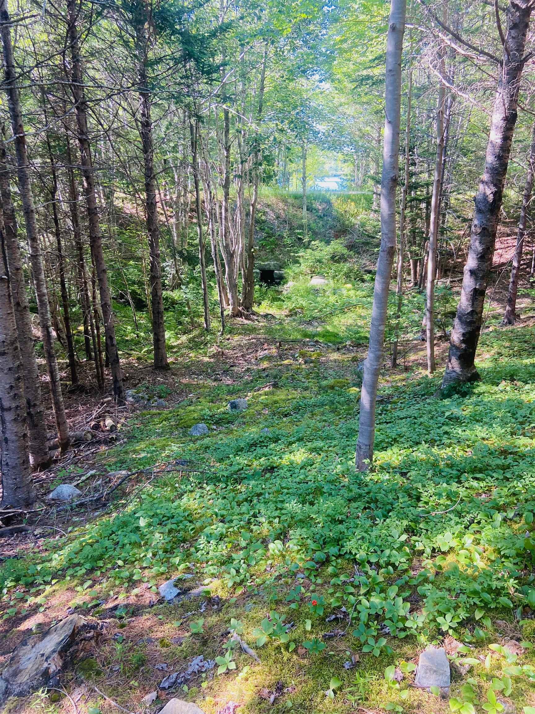 $130,000.00: Lot 3 Evergreen Lane, Chester Basin