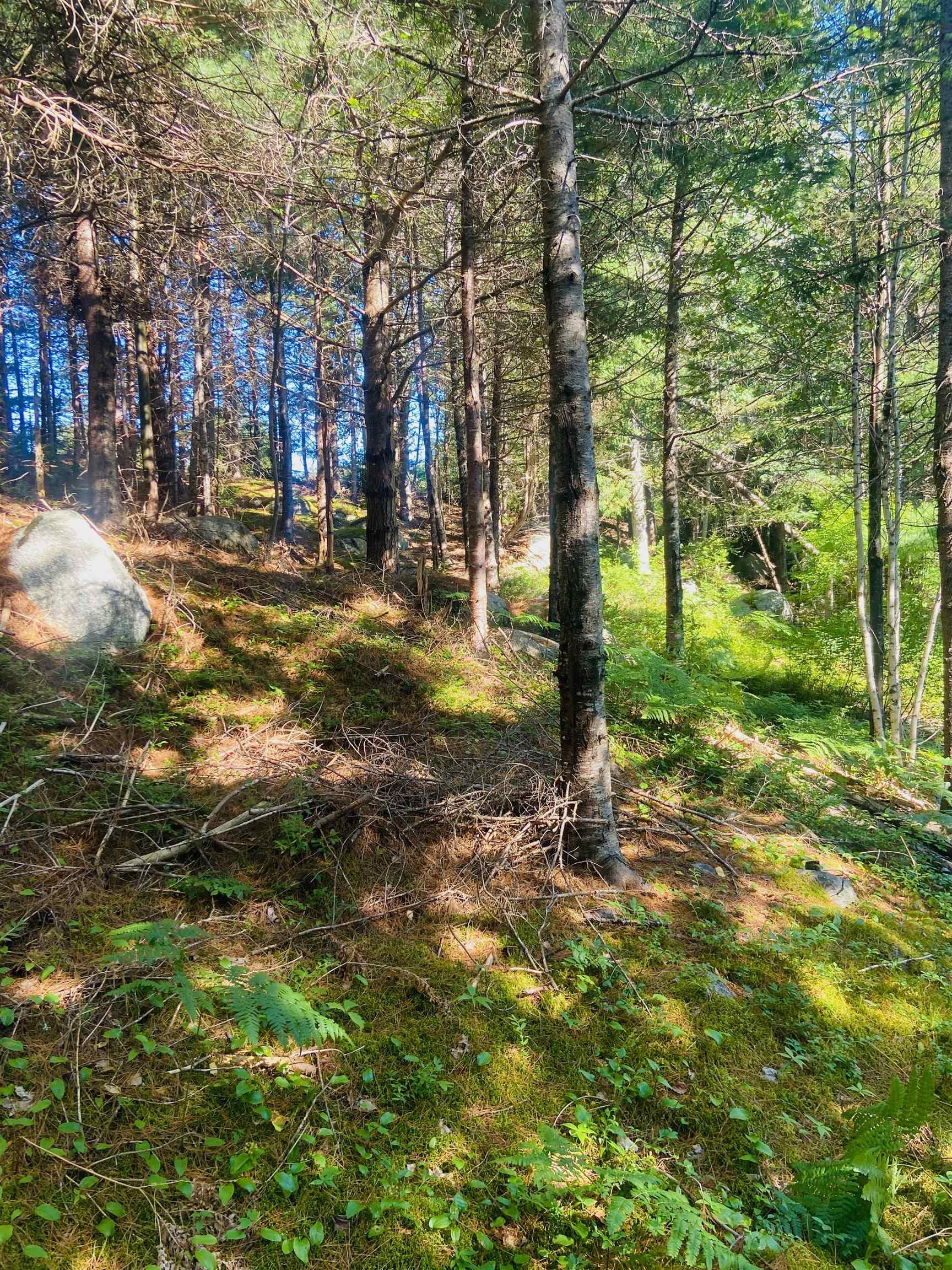 $130,000.00: Lot 3 Evergreen Lane, Chester Basin