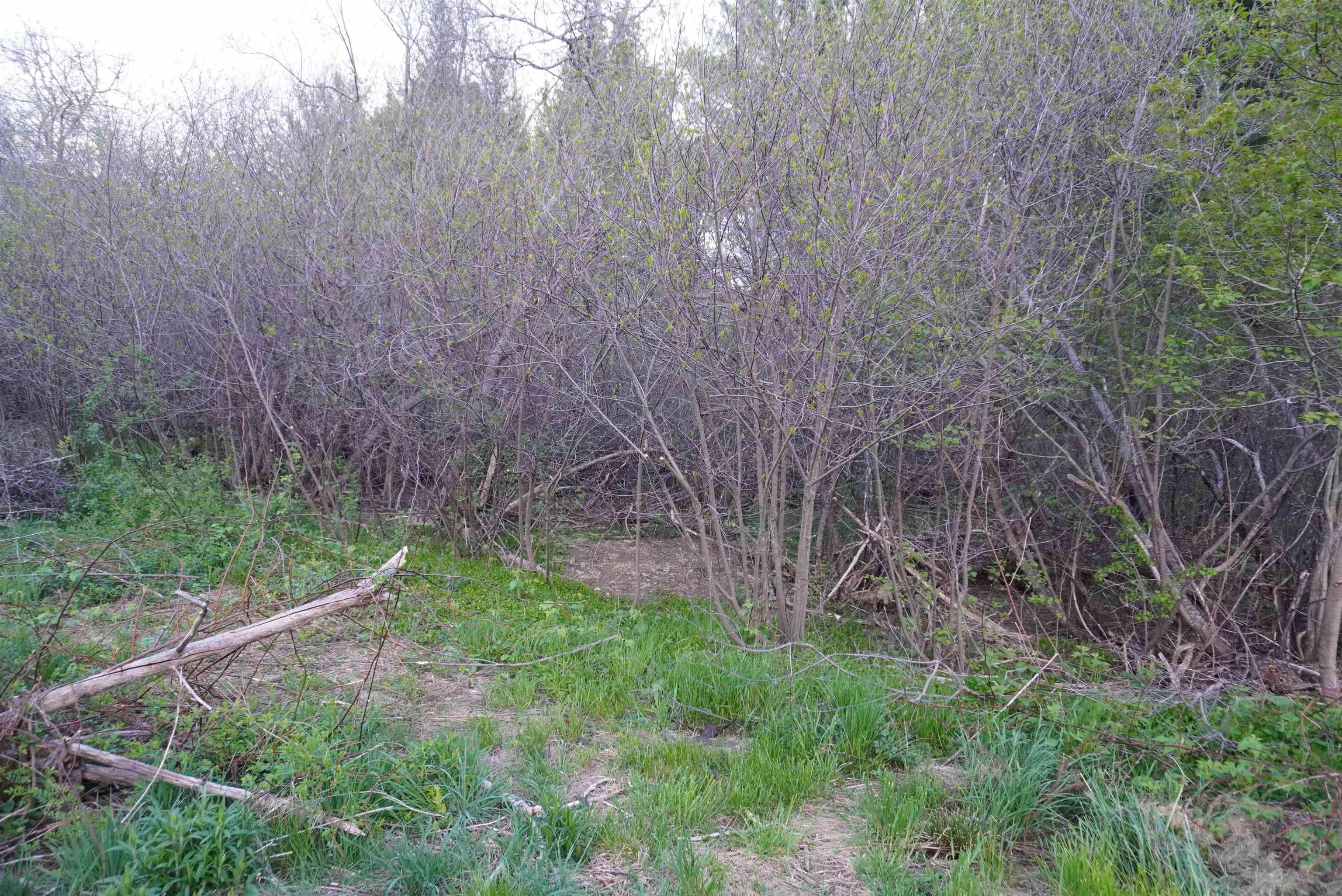 $13,000.00: Lot 15 Hemlock Street, Caledonia