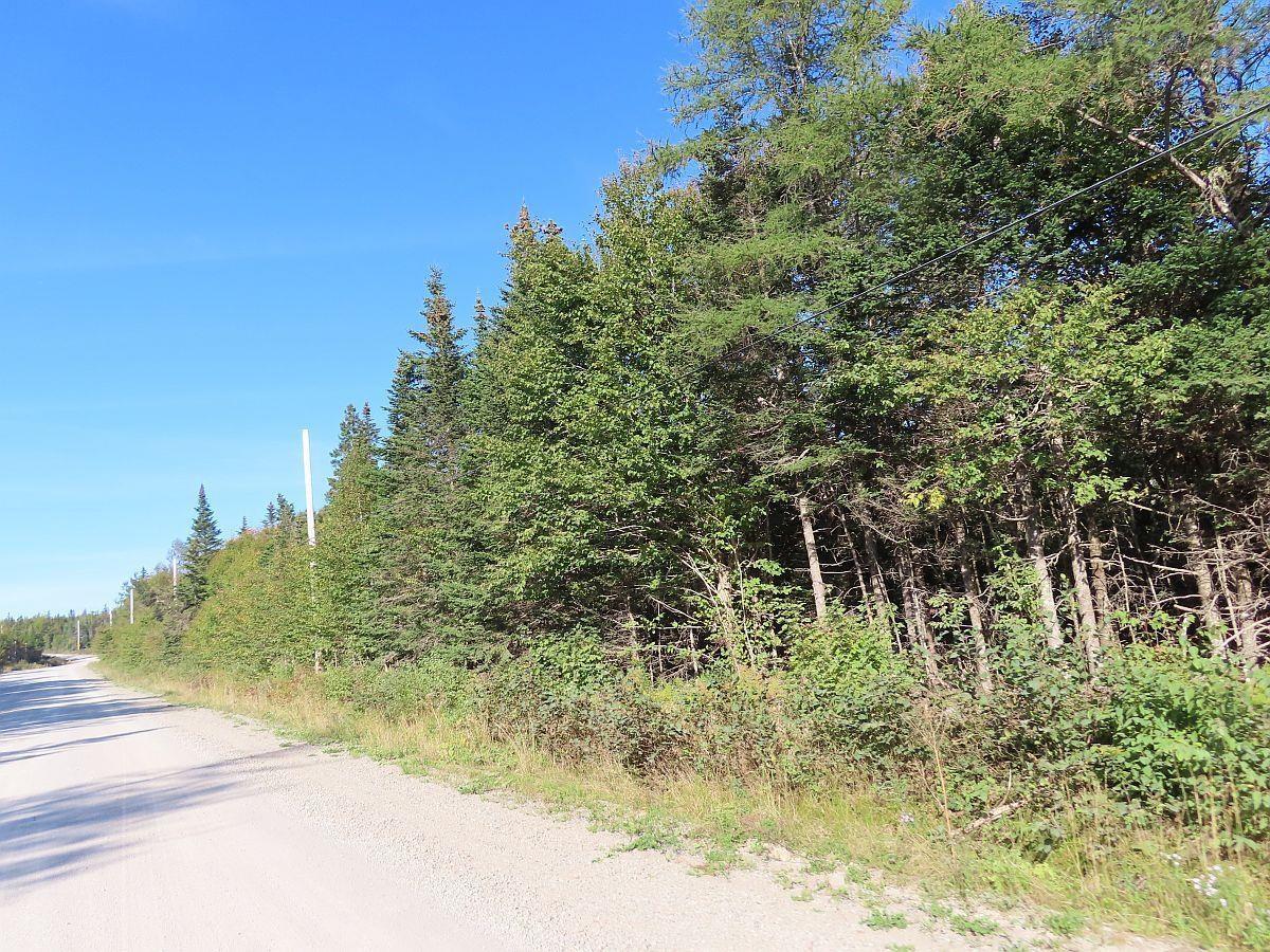 $35,000.00: Lot 4 Loch Lomond Road, Big Pond