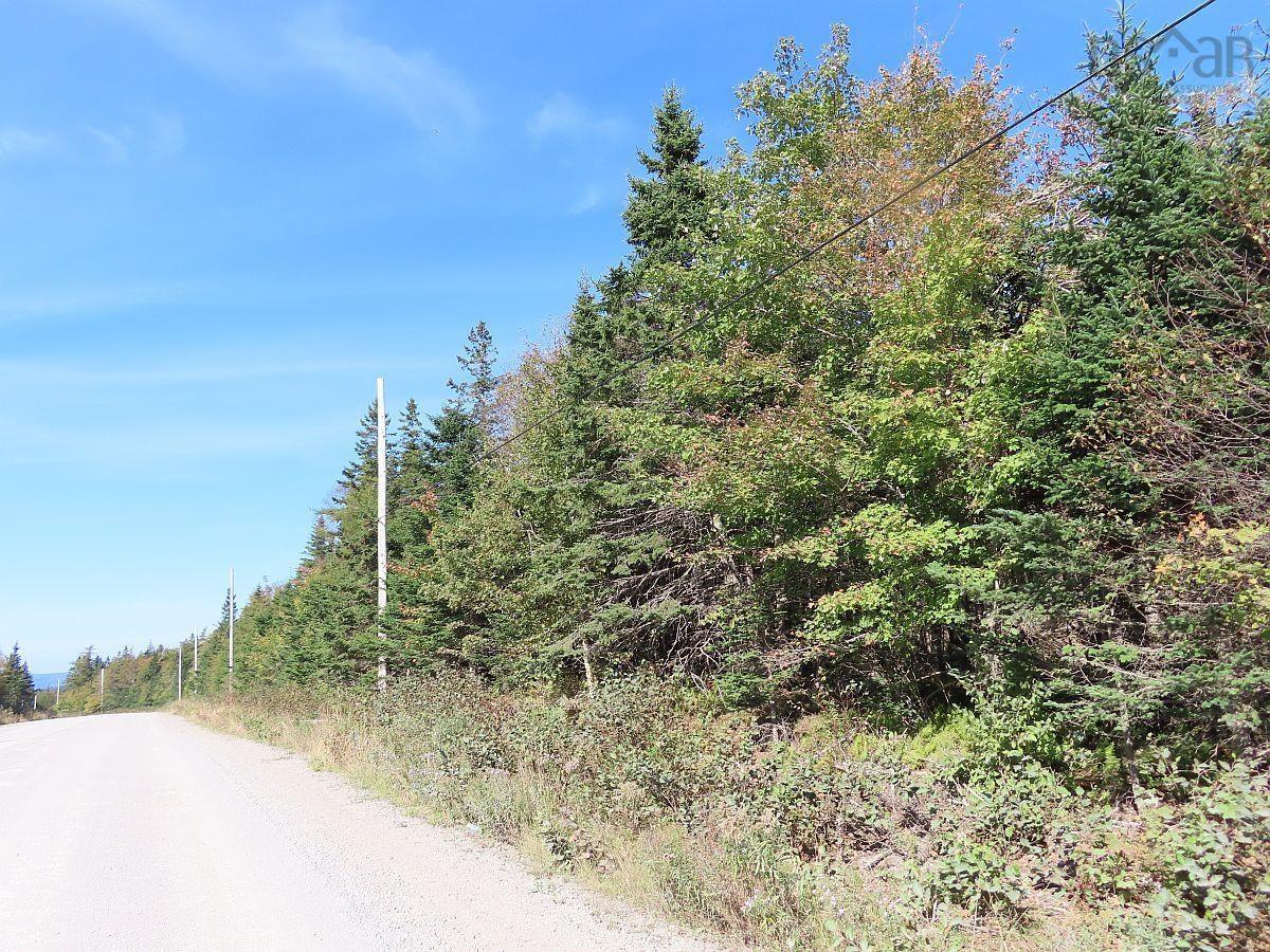 $35,000.00: Lot 4 Loch Lomond Road, Big Pond