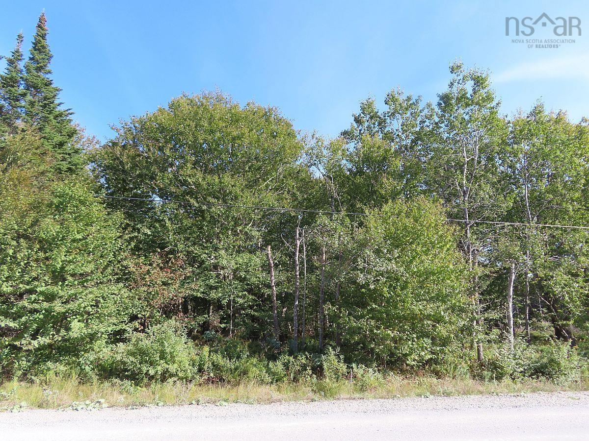 $35,000.00: Lot 4 Loch Lomond Road, Big Pond