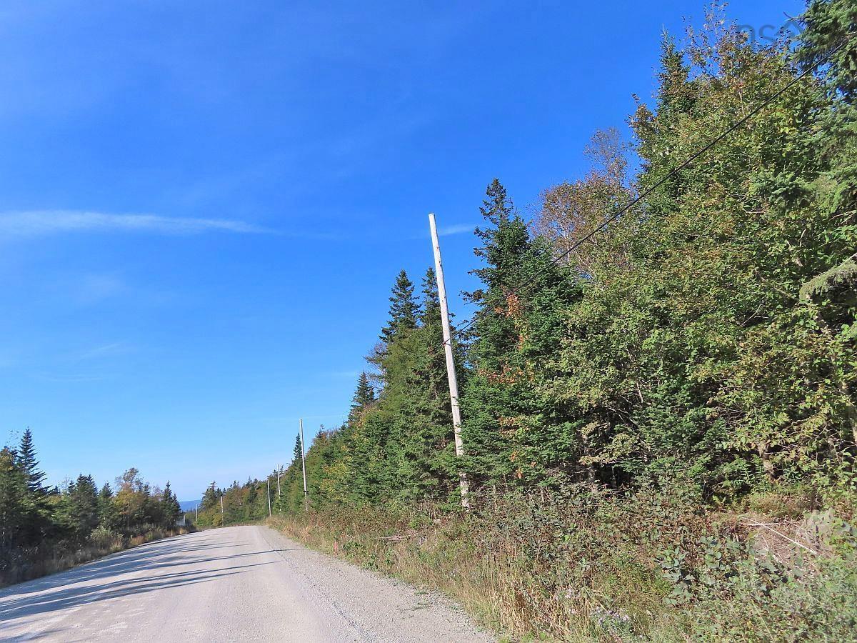 $35,000.00: Lot 4 Loch Lomond Road, Big Pond