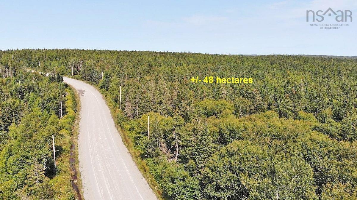 $35,000.00: Lot 4 Loch Lomond Road, Big Pond