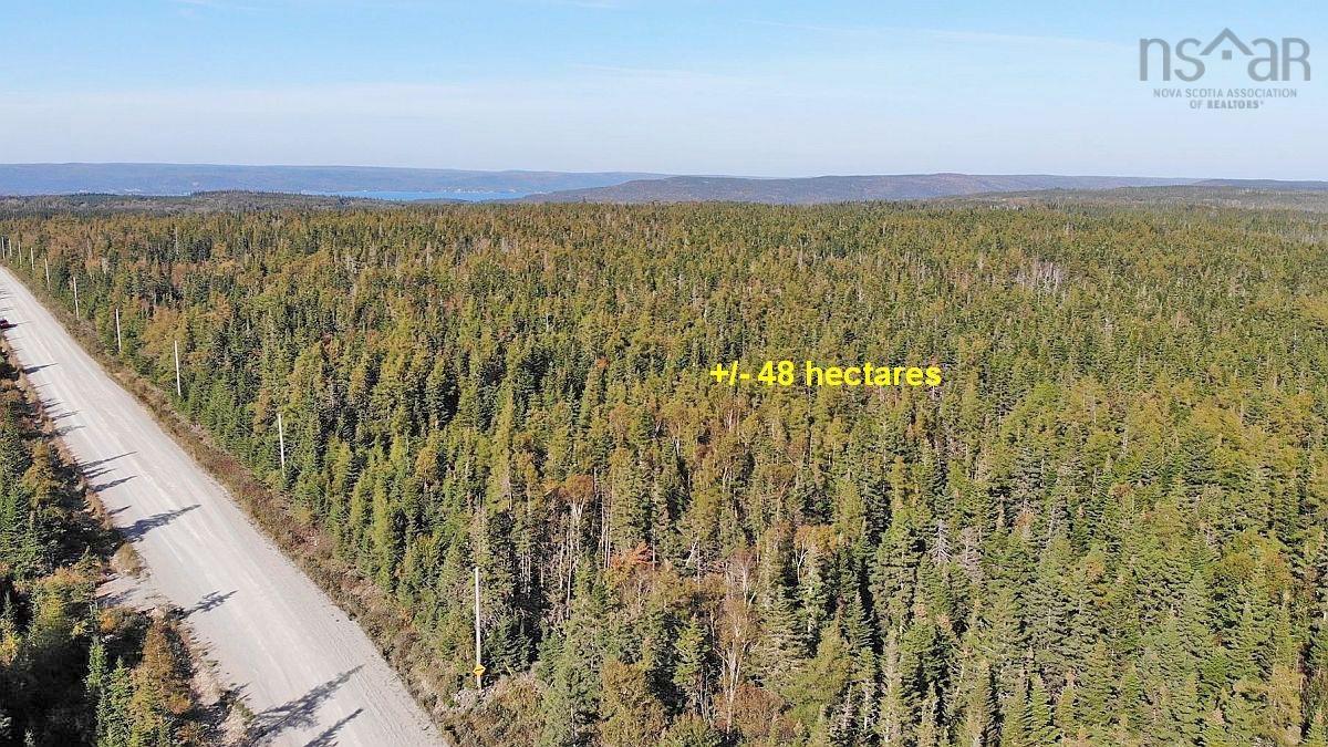 $35,000.00: Lot 4 Loch Lomond Road, Big Pond