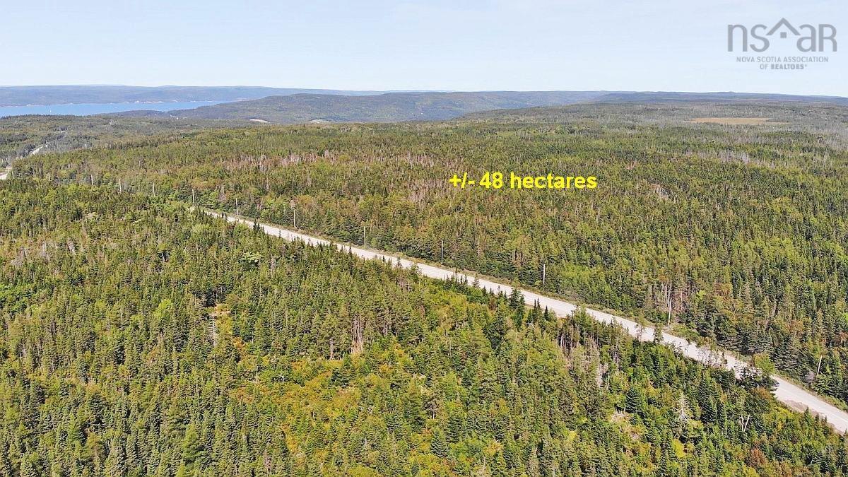 $35,000.00: Lot 4 Loch Lomond Road, Big Pond