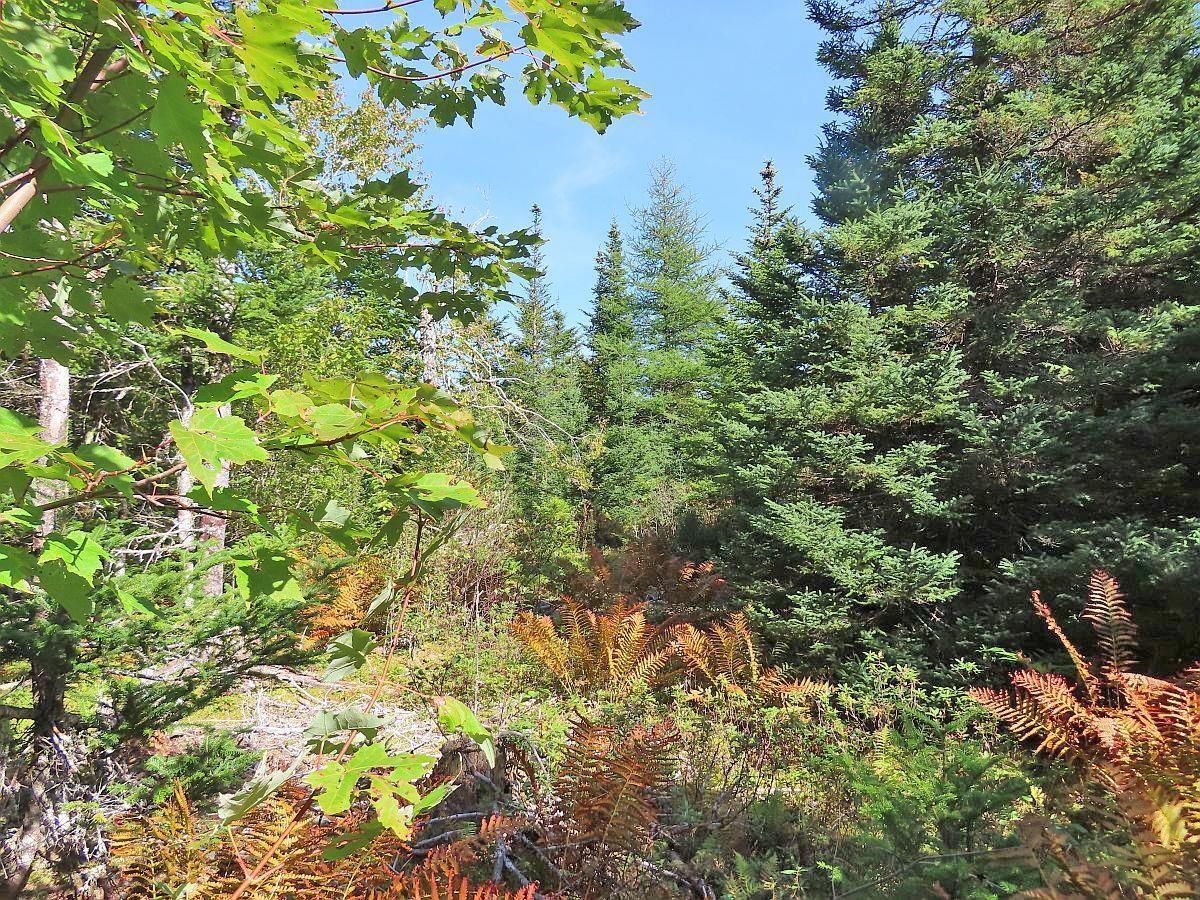 $35,000.00: Lot 4 Loch Lomond Road, Big Pond