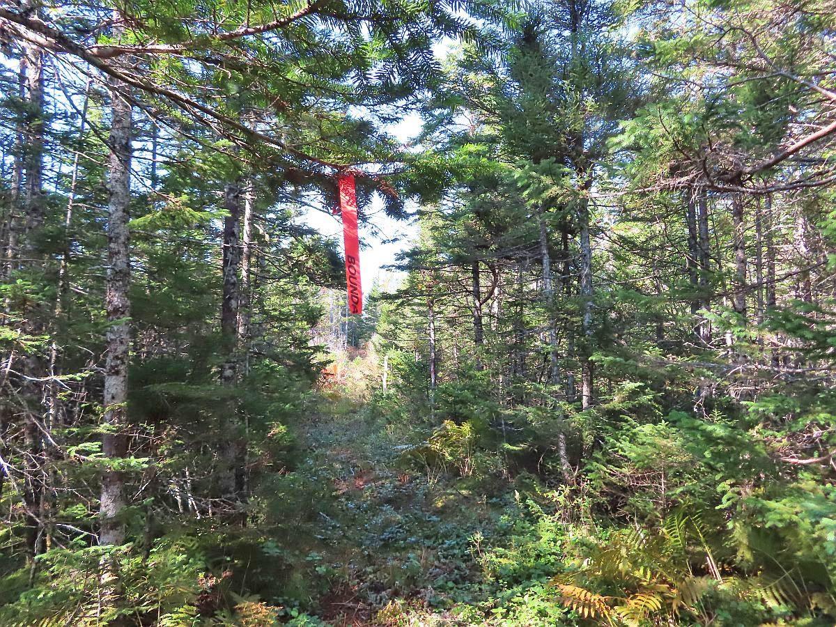 $35,000.00: Lot 4 Loch Lomond Road, Big Pond