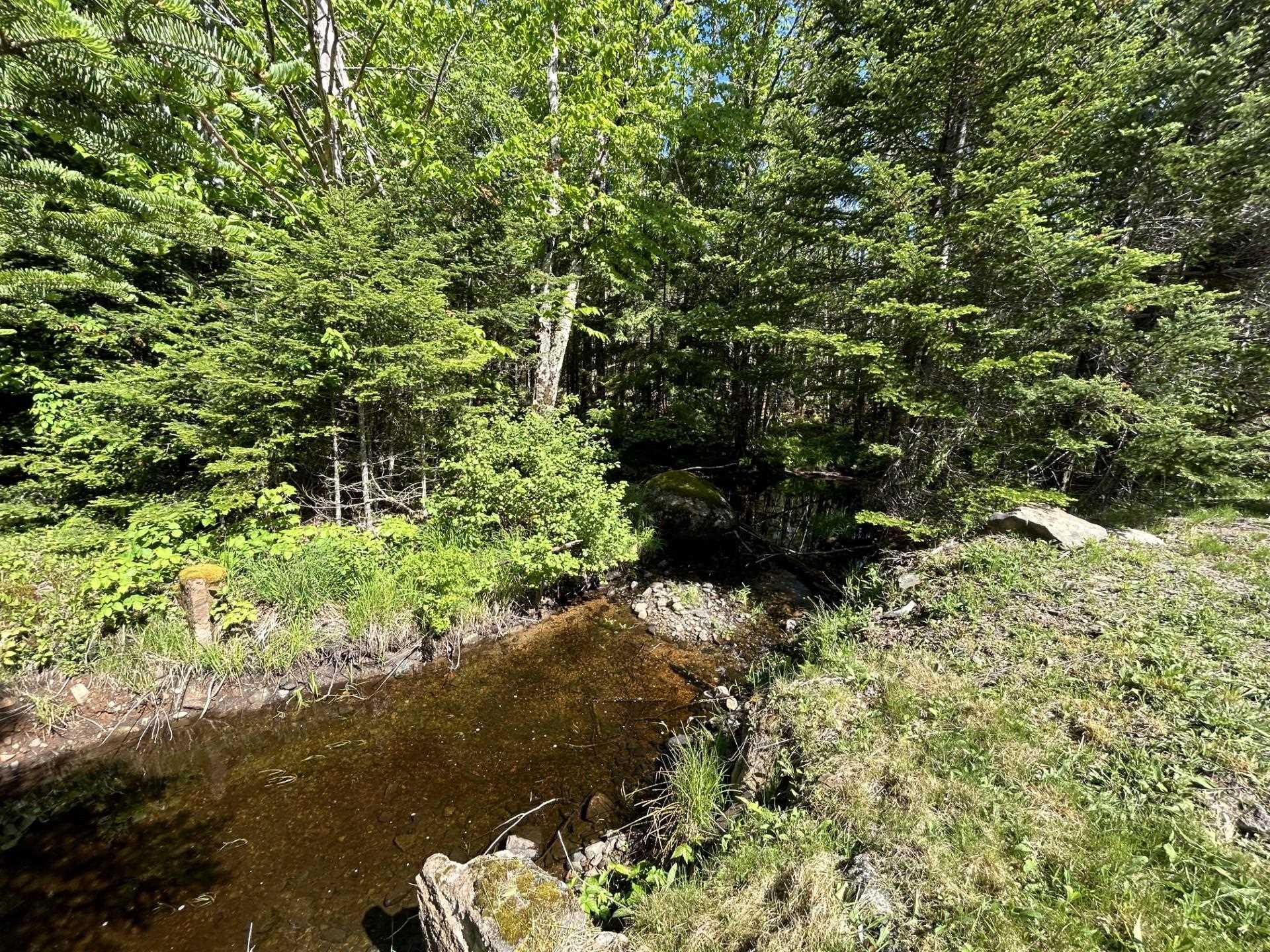 $699,999.00: 1223/1225/1227 East Dalhousie Road, East Dalhousie