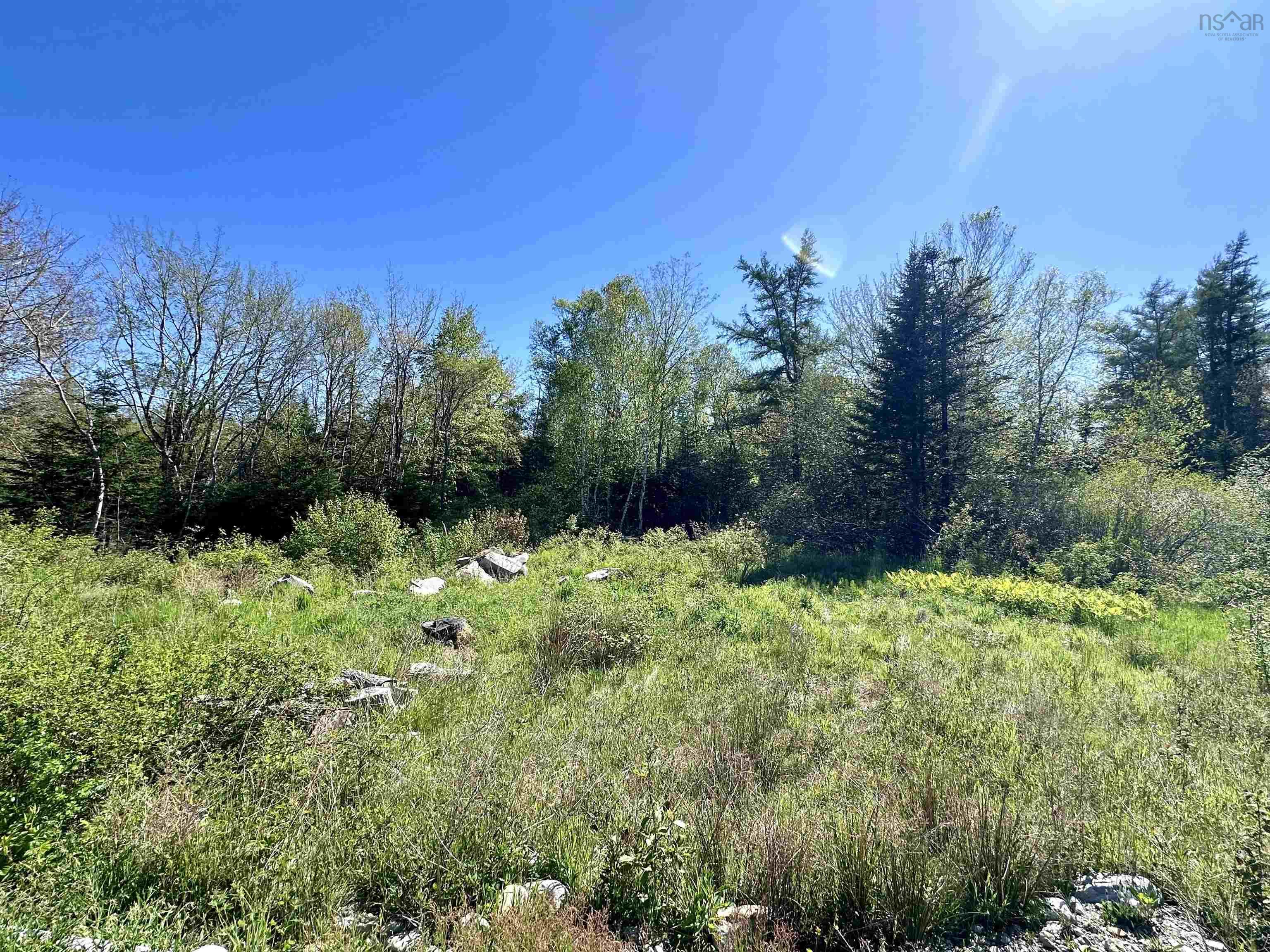 $75,000.00: 3583 Highway 3, East Green Harbour