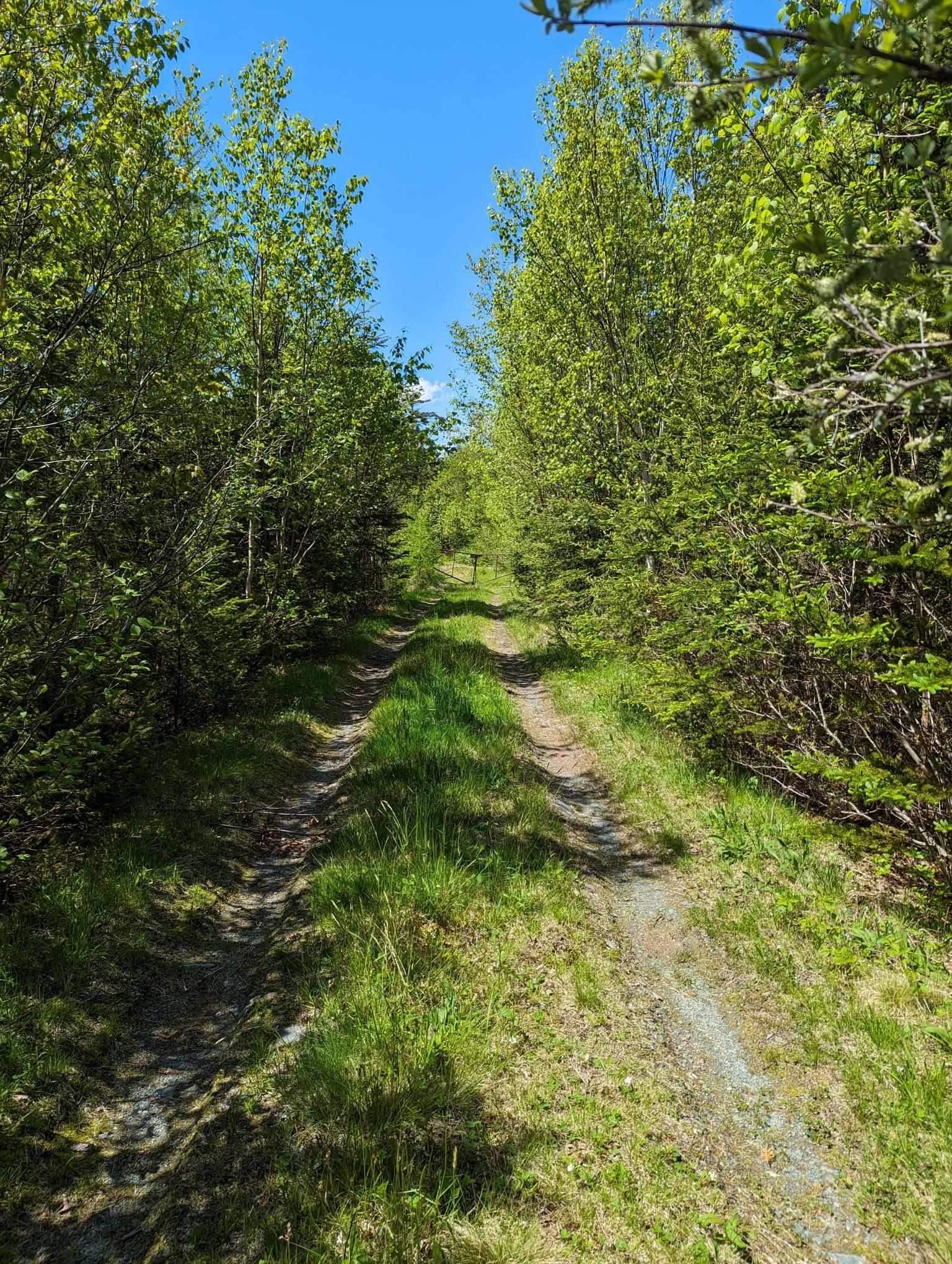 $699,000.00: Lot MES-1X West Lawrencetown Road, West Lawrencetown