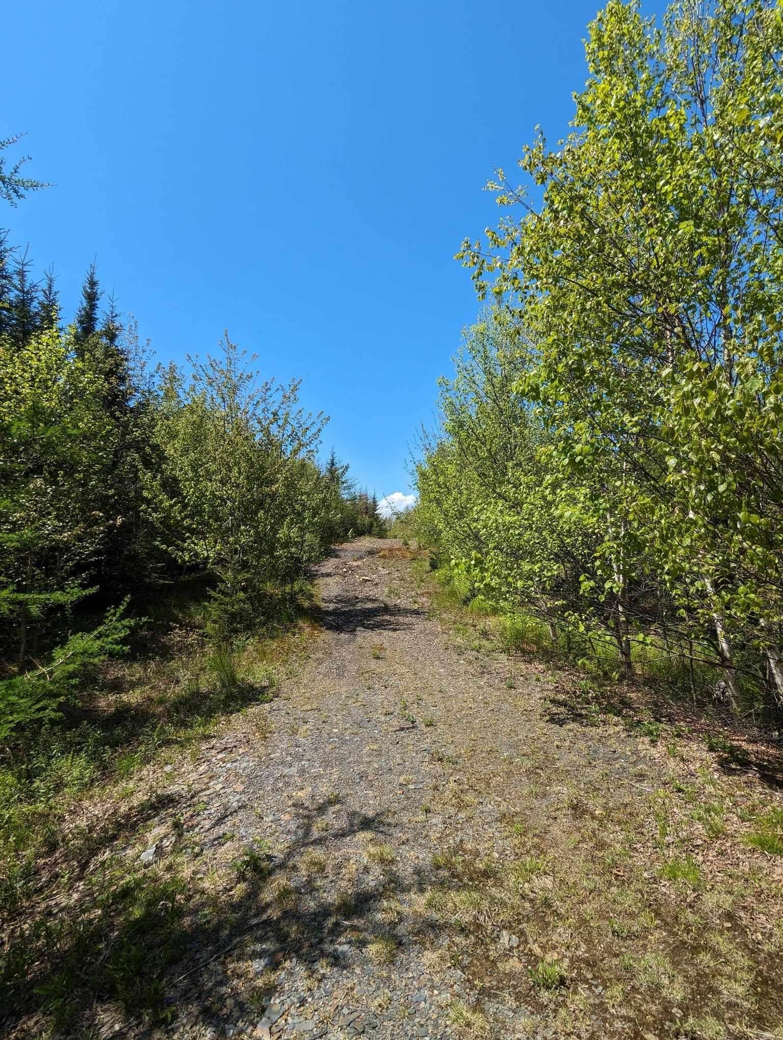 $699,000.00: Lot MES-1X West Lawrencetown Road, West Lawrencetown