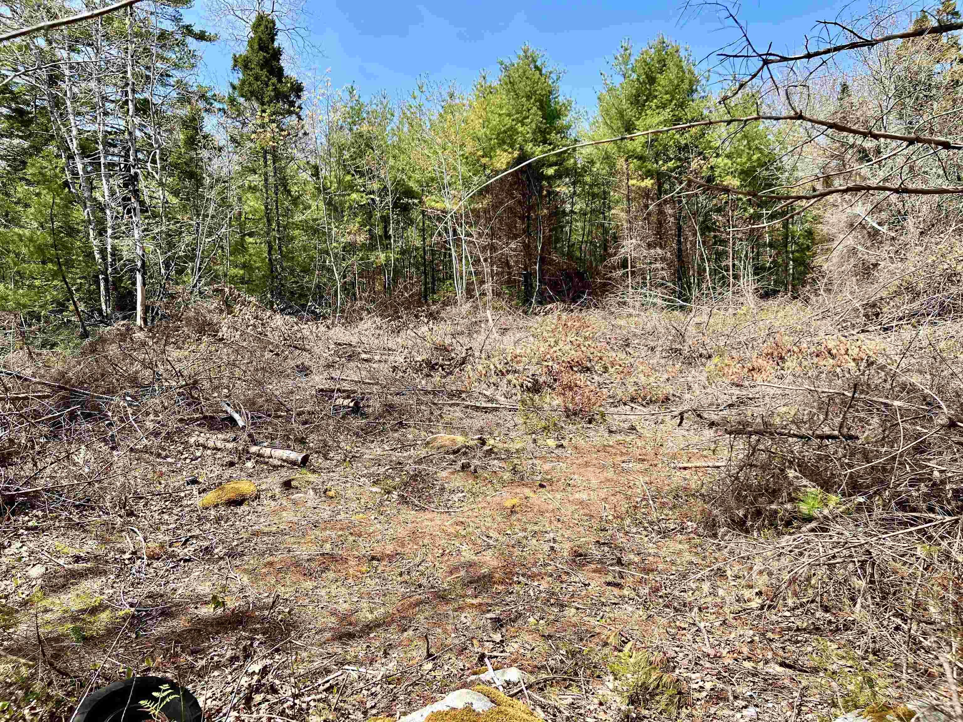 $29,000.00: Lot Highway 3, Reids Hill