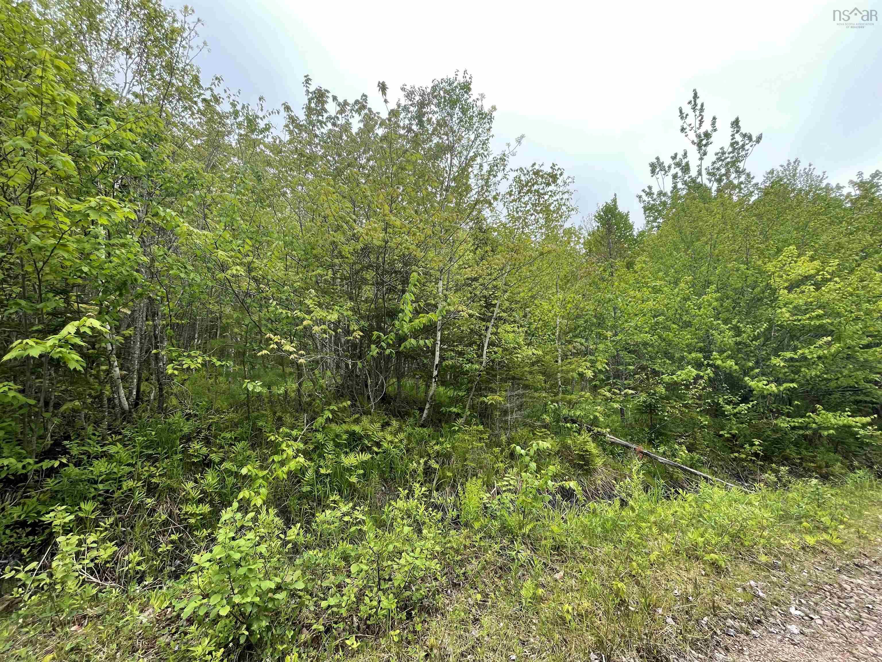 $25,000.00: Lot 6 West Side Ainslie Glen Road, West Lake Ainslie