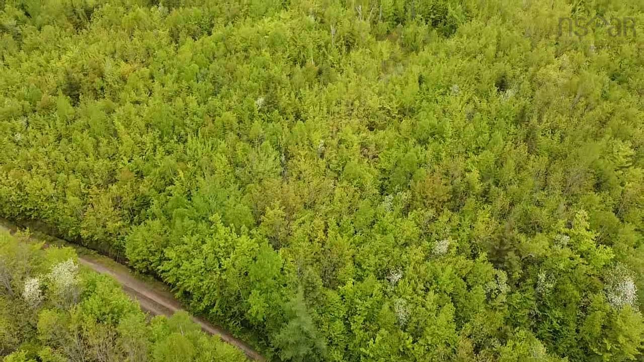 $25,000.00: Lot 6 West Side Ainslie Glen Road, West Lake Ainslie