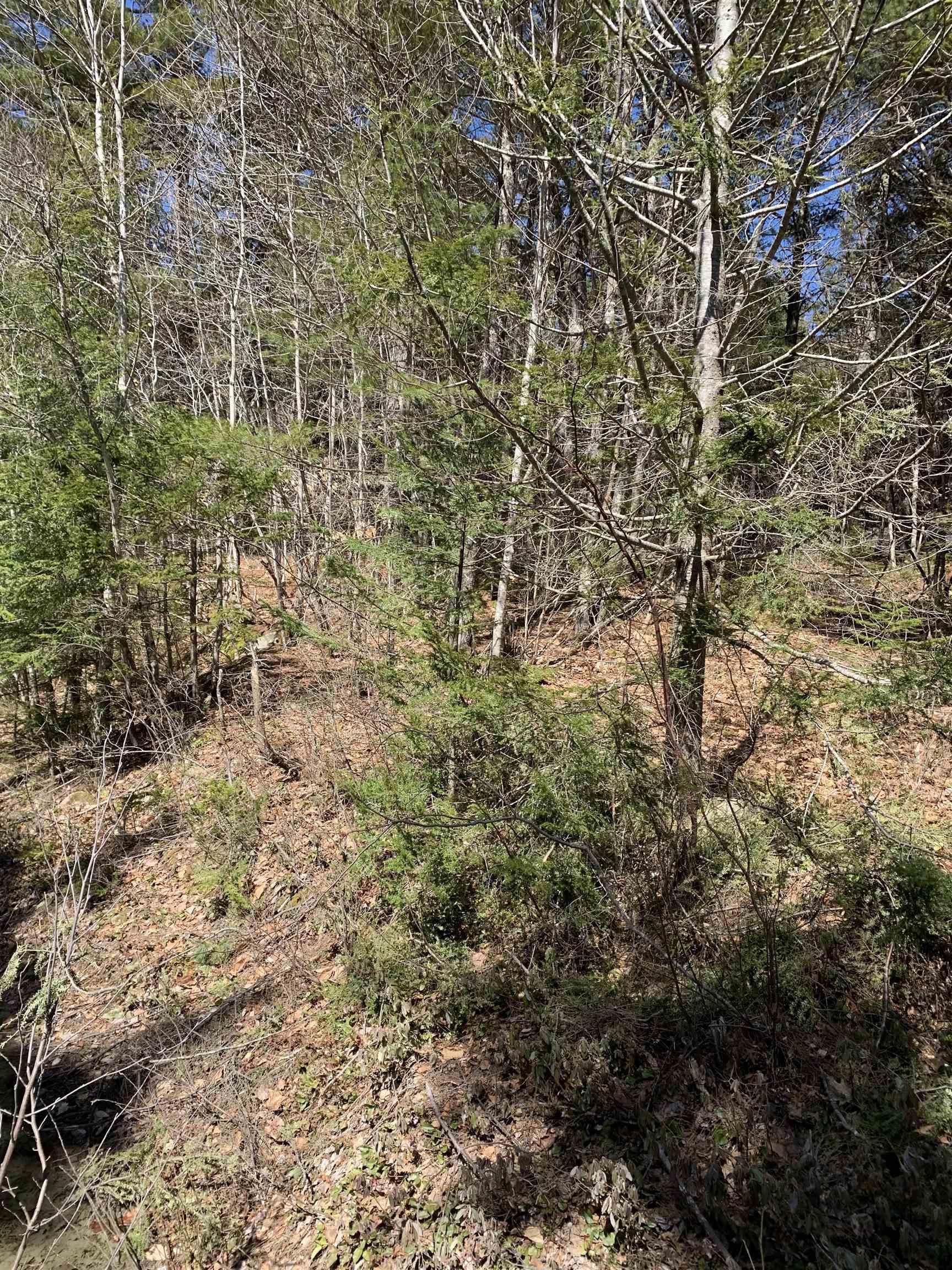 $39,900.00: Medway River Road, Riversdale