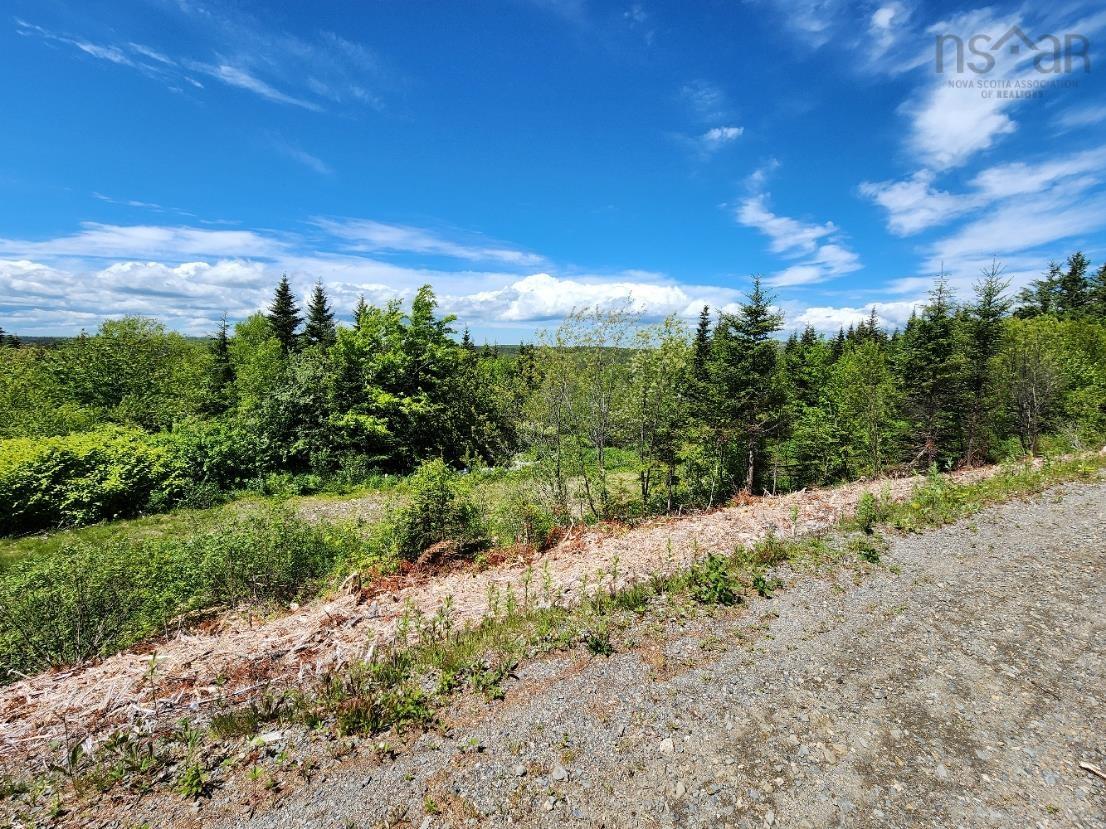 $55,000.00: Larrys River Road, Lundy